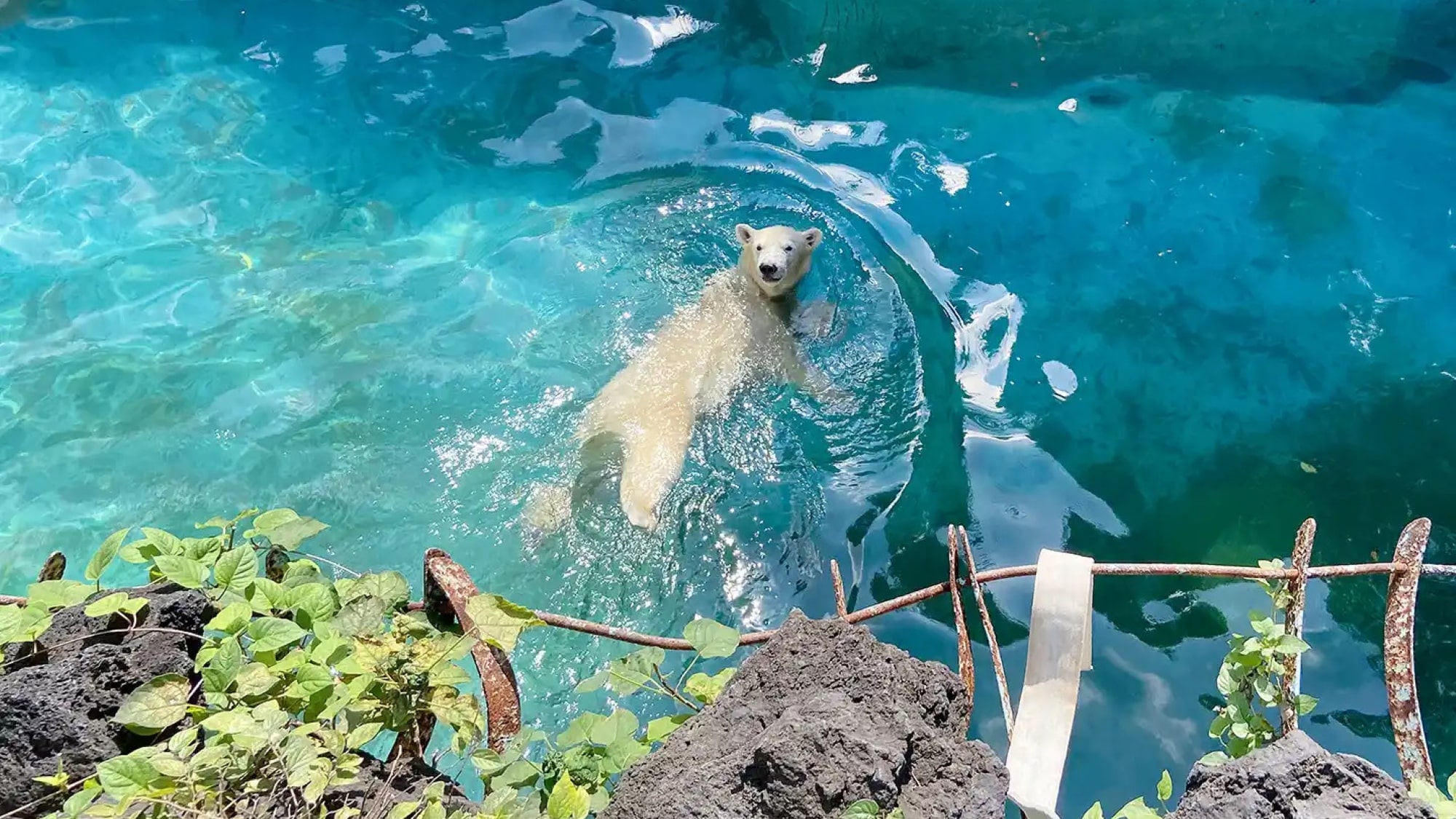 【天王寺動物園】日本最古の動物園のひとつです