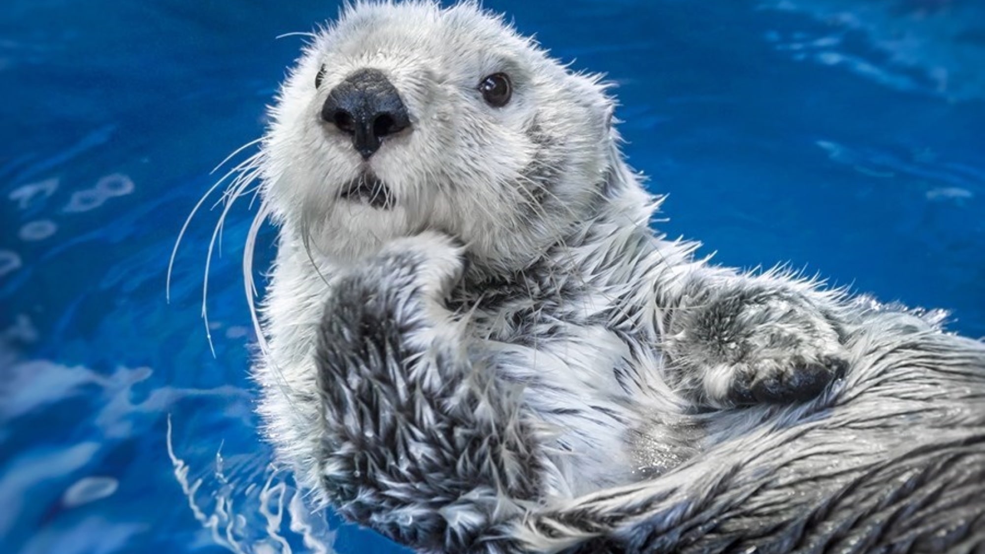 【海遊館】関西エリア屈指の水族館。