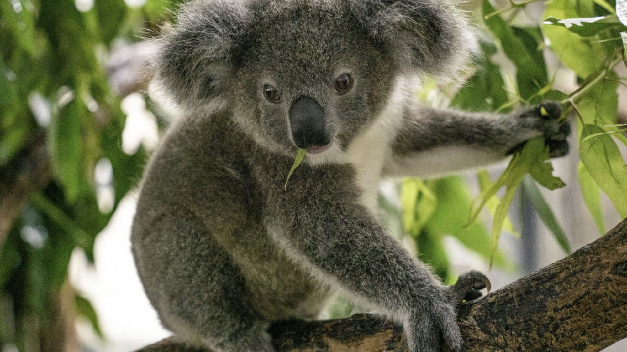 【天王寺動物園】日本最古の動物園のひとつです