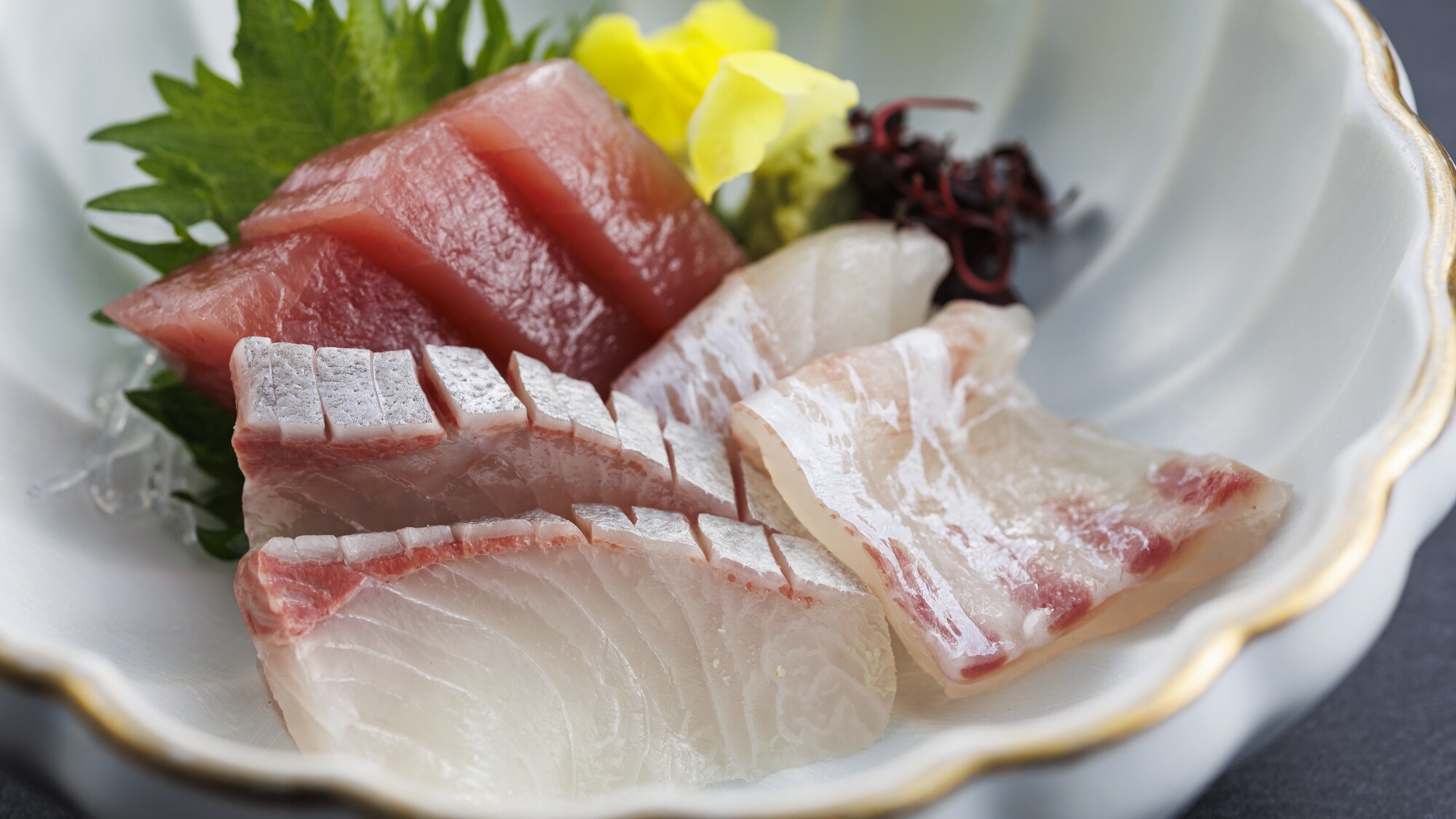 【土地の恵み会席】旬の美味しい鮮魚と国産牛を味わう