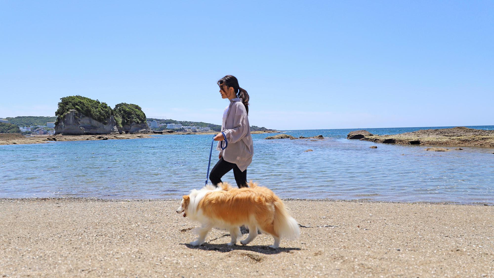 【わんこOK】番所山公園でお散歩