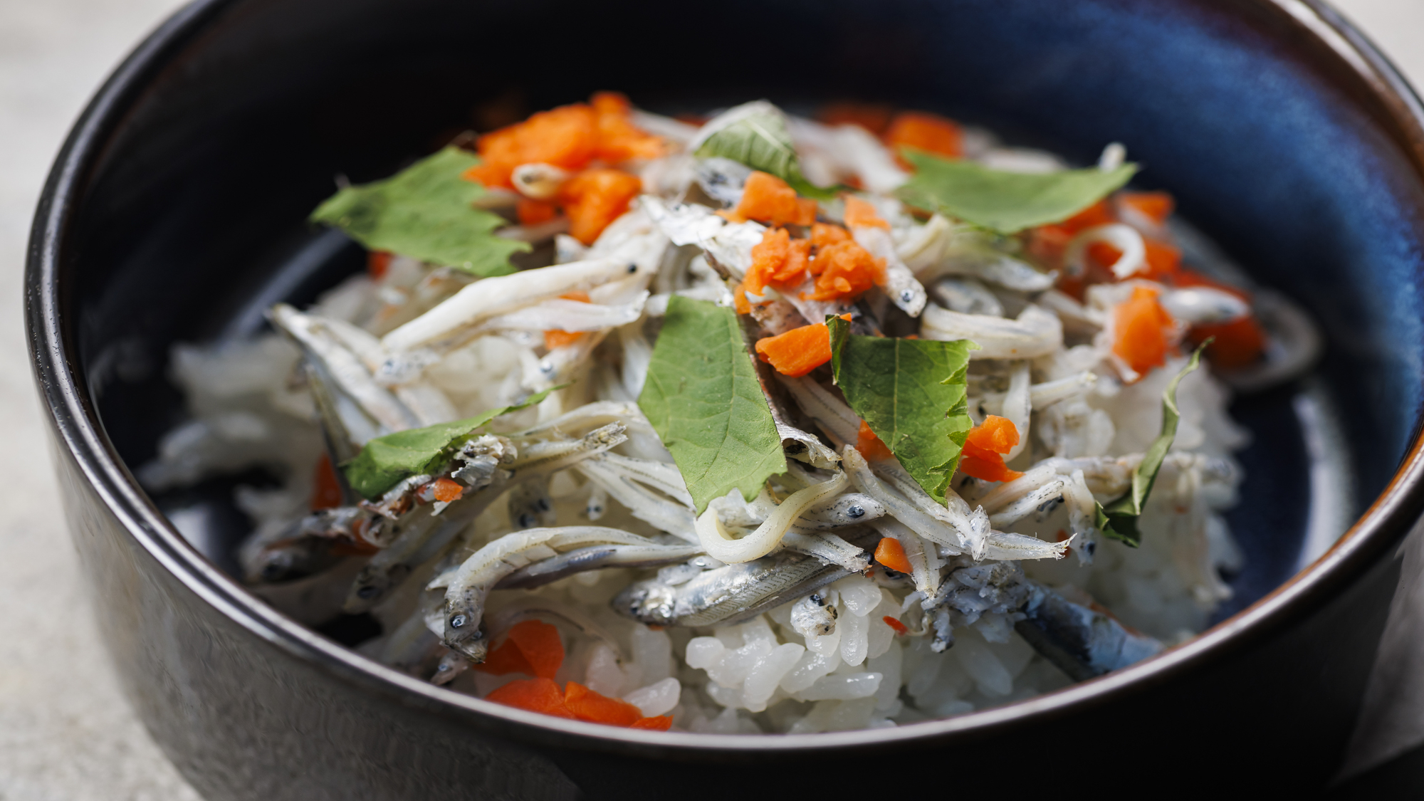 わんちゃんメニュー　シラスたっぷり丼