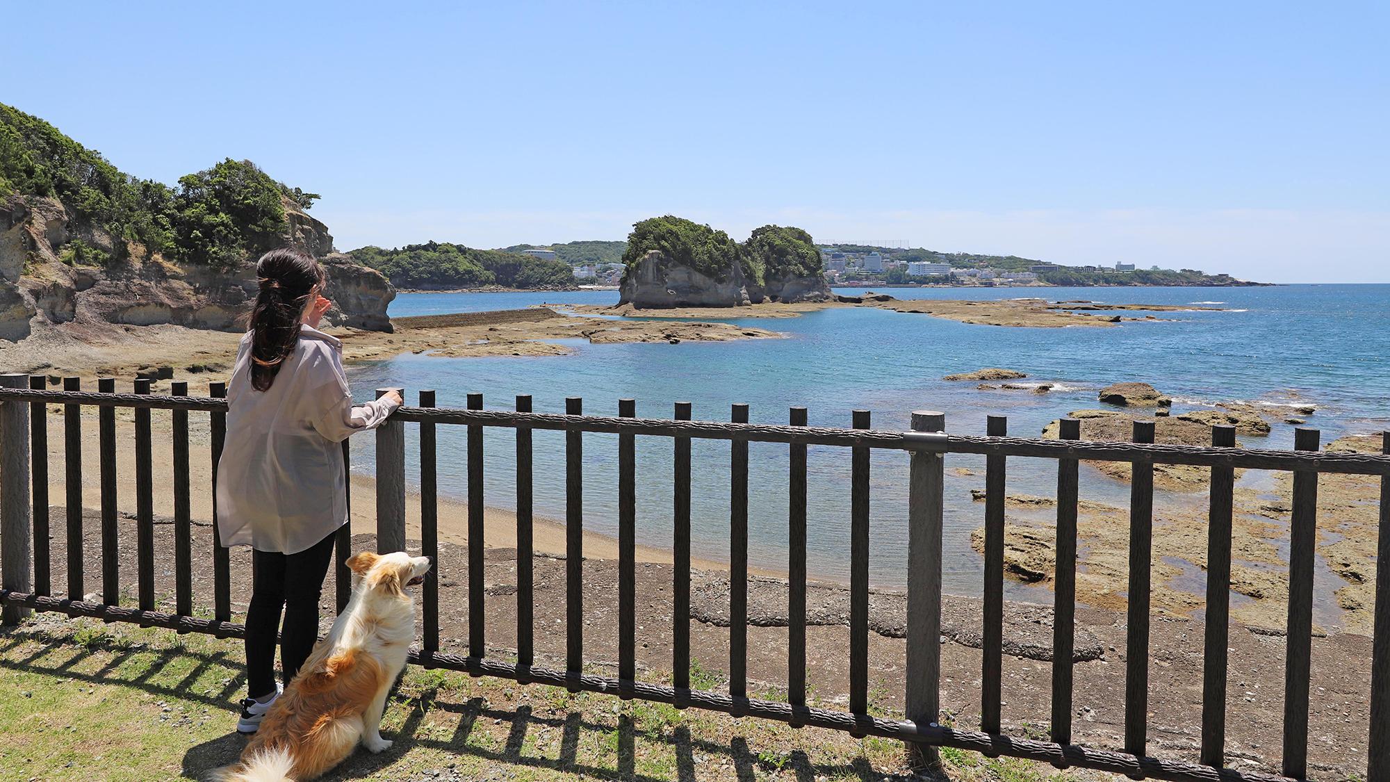 【わんこOK】番所山公園でお散歩