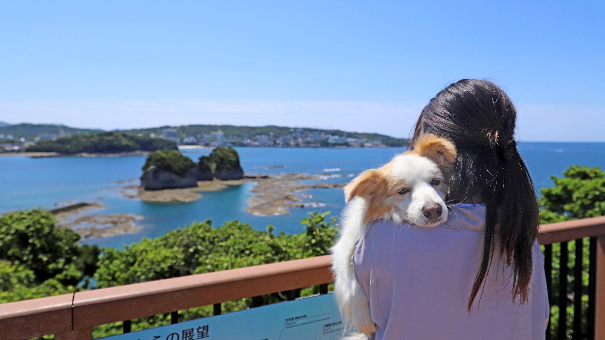 【わんこOK】番所山公園でお散歩