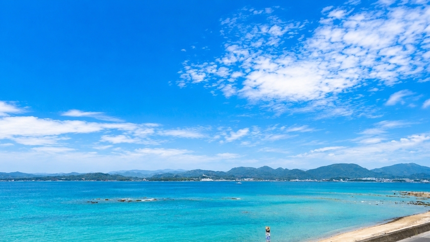【平日限定】南紀白浜で過ごす至高の夏。陽光に煌めく水面を駆けるSUP体験付きプラン