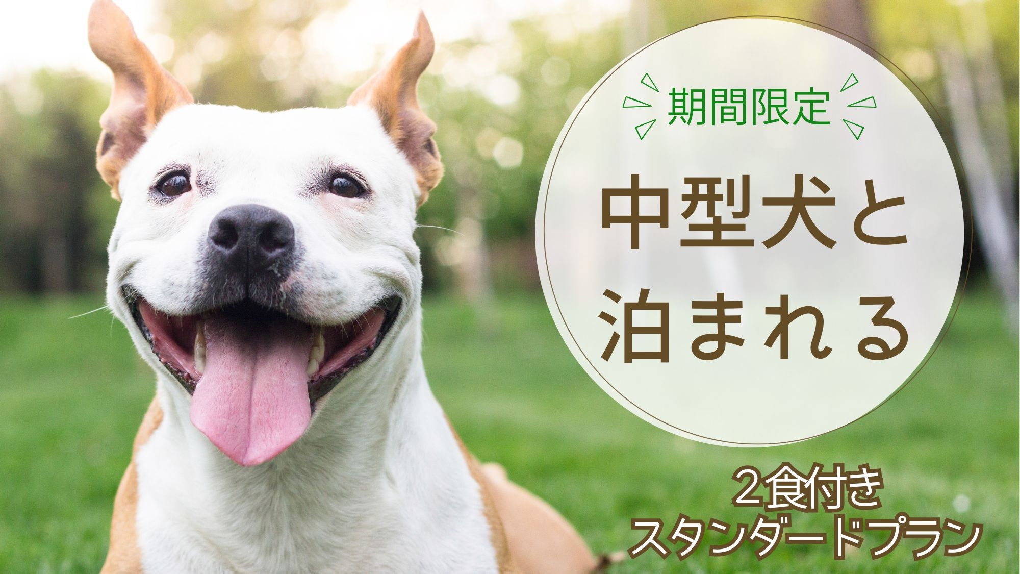 ＜香花灯ペット部屋＞期間限定 -中型犬までOK-[ST2食付]