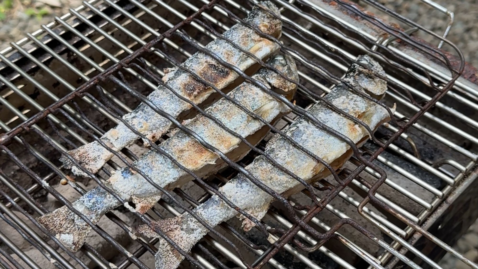(素泊まり)【BBQ器材付き】食材持ち込みOK♪好きな食材を持込みBBQを楽しむ♪