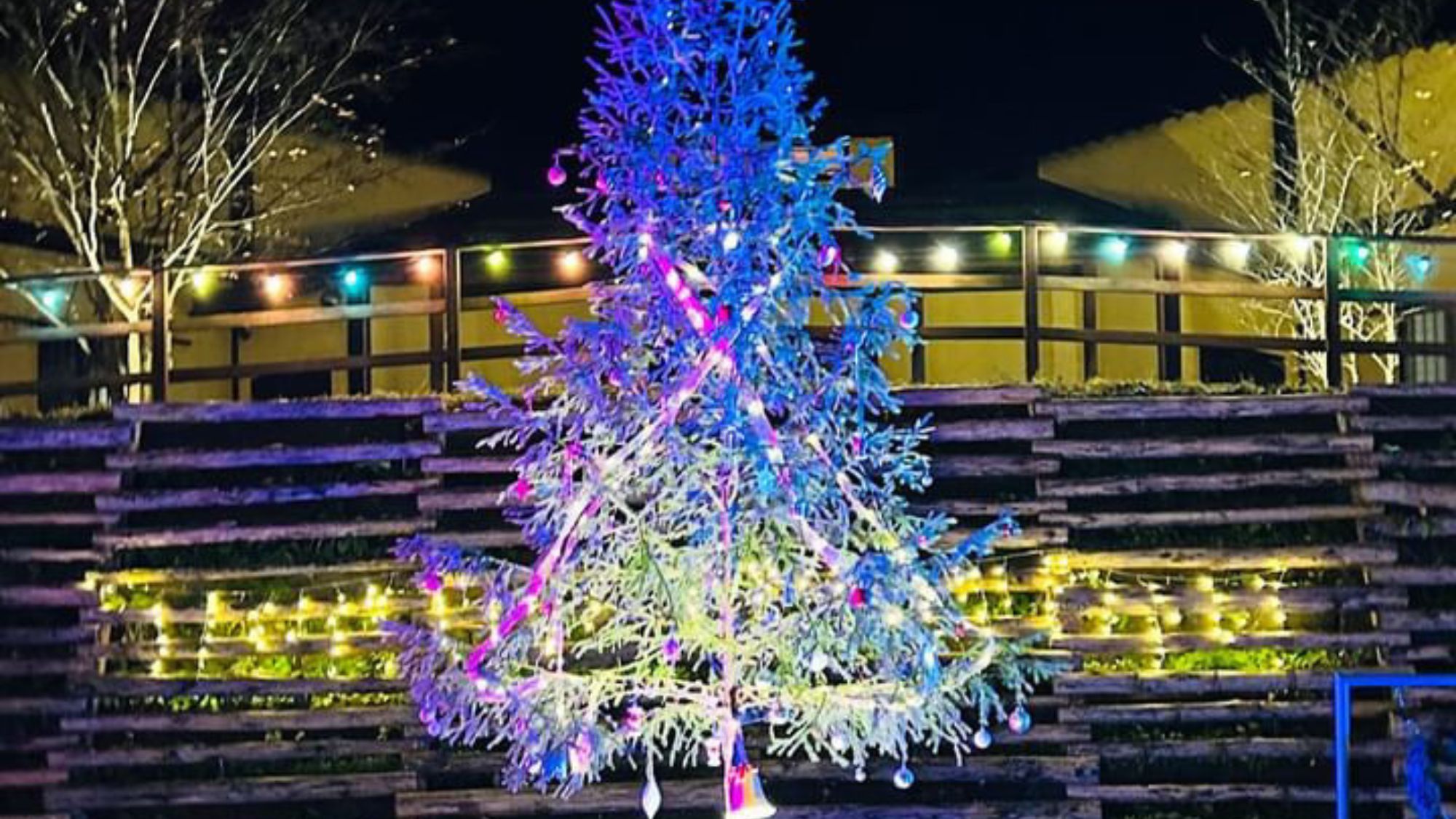 *【クリスマスツリー｜一例】ミューの森がある山梨県上野原市産の「もみの木」で出来たクリスマスツリー