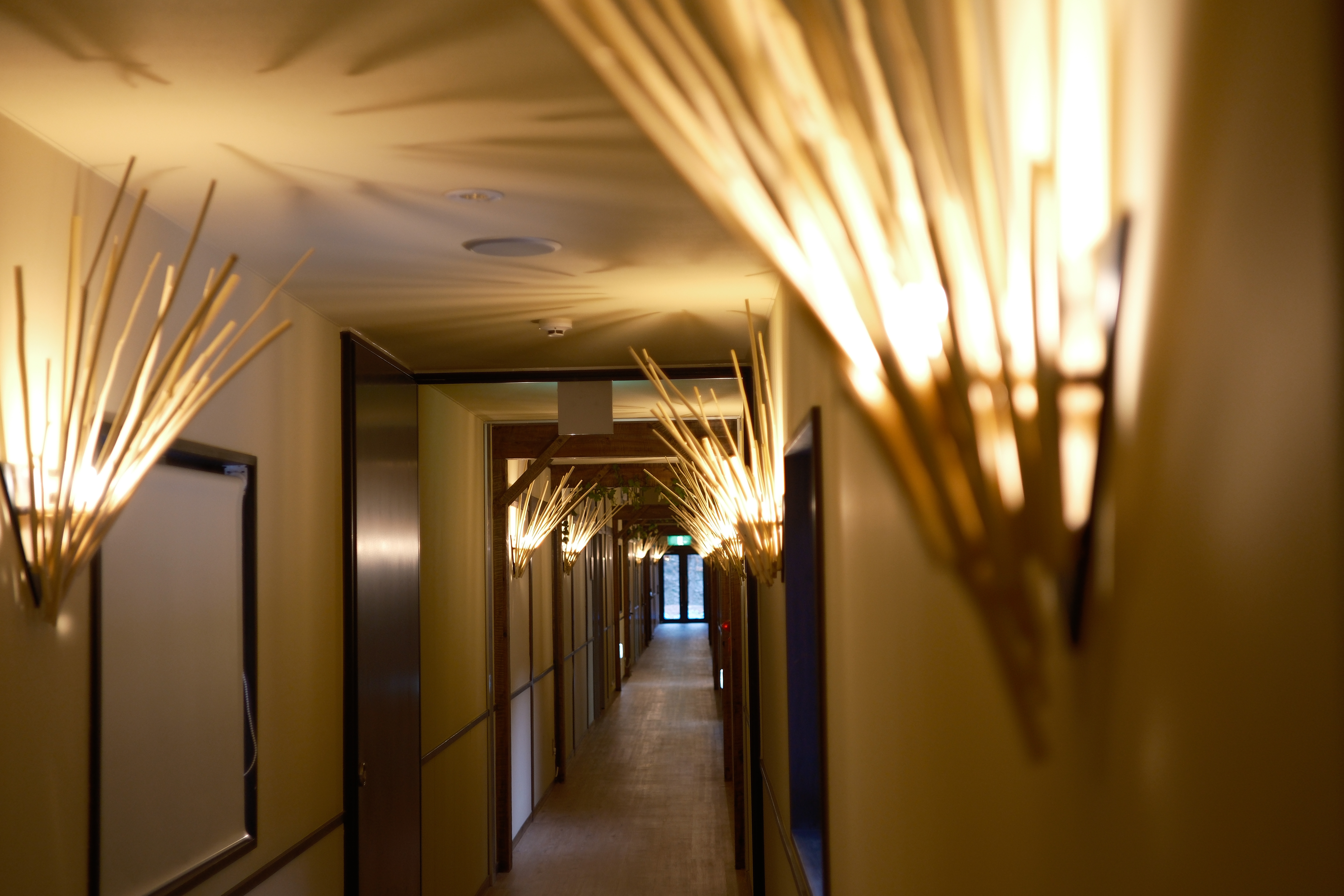 【館内イメージ｜一例】ミューの森の民(たみ)の生活を想起する館内装飾が施されています