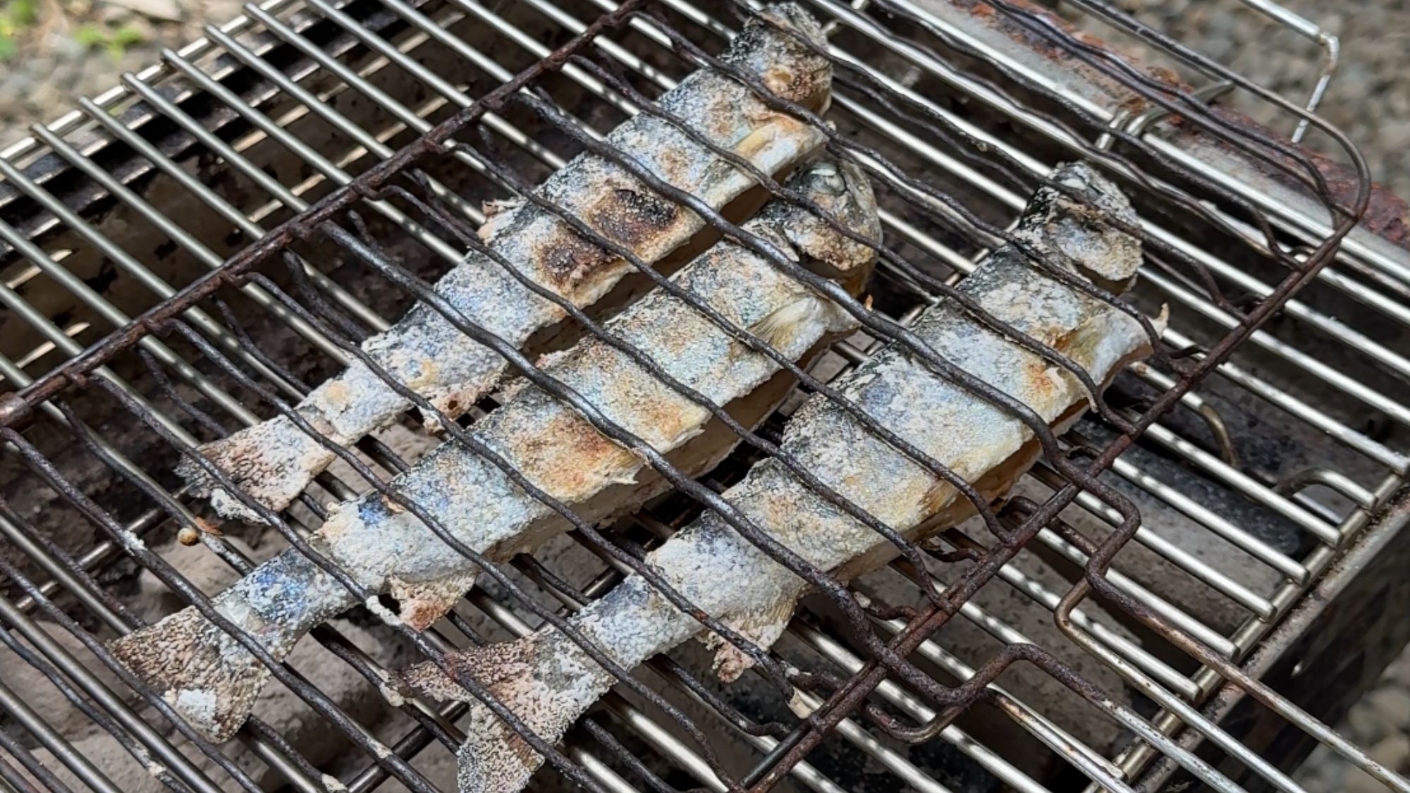 【マスのつかみ取り体験／一例】マスを捕まえて捌いて炭火で焼いて食べる。春夏大人気の食育アクティビティ