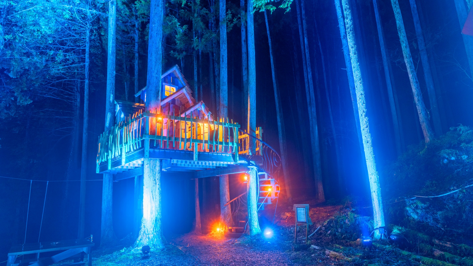 *【ツリーハウス｜外観／一例】夜はイルミネーションが彩り、日中とはまた違う、特別な空間を演出します