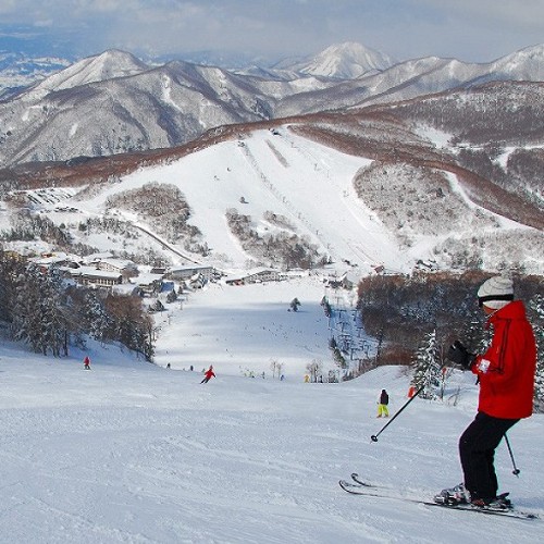広大な志賀高原の大自然の中でスキーを満喫♪当館より「一の瀬スキー場」まで100ｍの好立地
