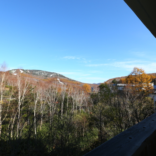 和洋室の窓からは志賀高原の自然が楽しめます。