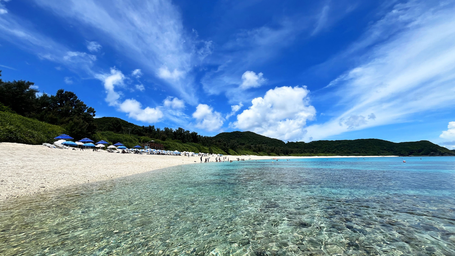 グランピング リトルマーメイドヴィレッジ＜座間味島＞ 宿泊プラン一覧