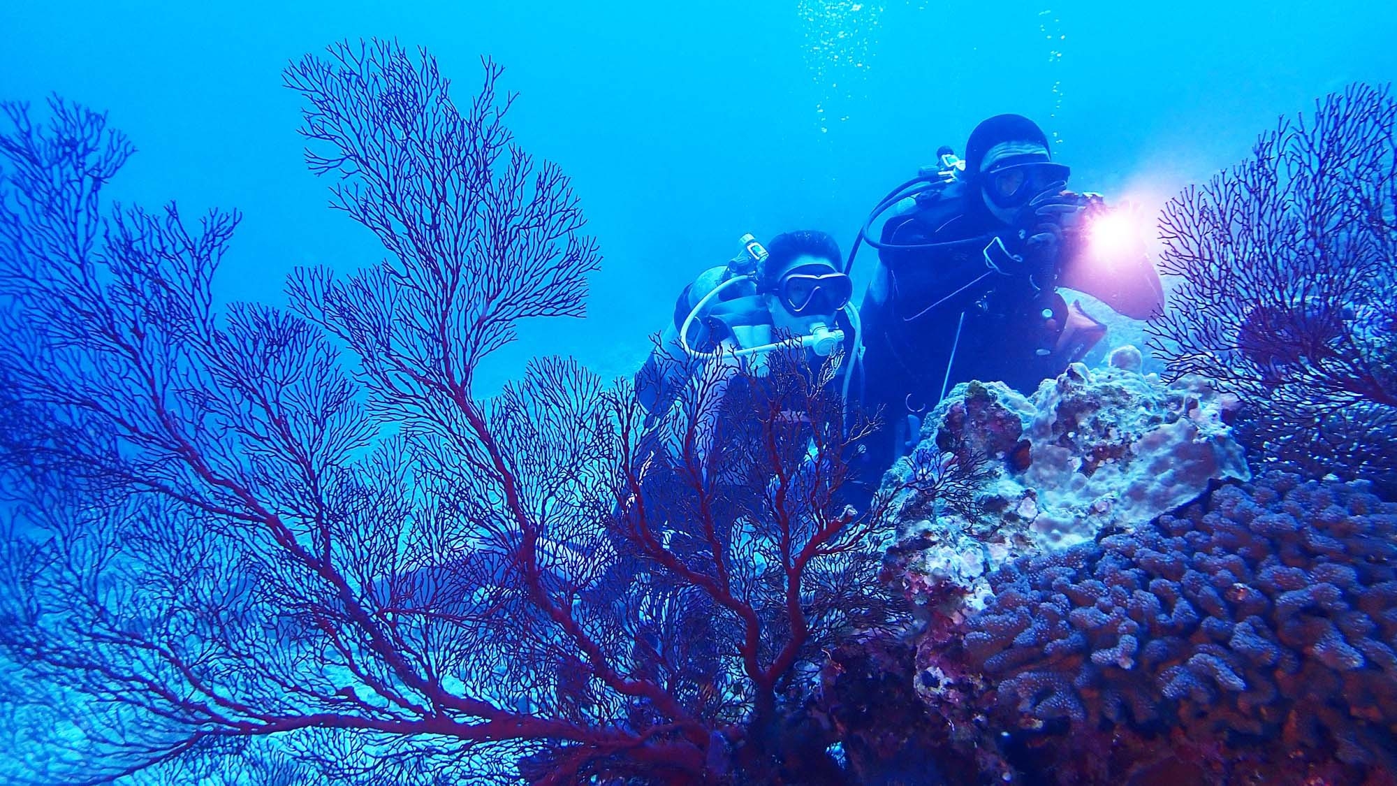 【2連泊・素泊まり】2日以上の連泊で1人あたり1000円お得に♪