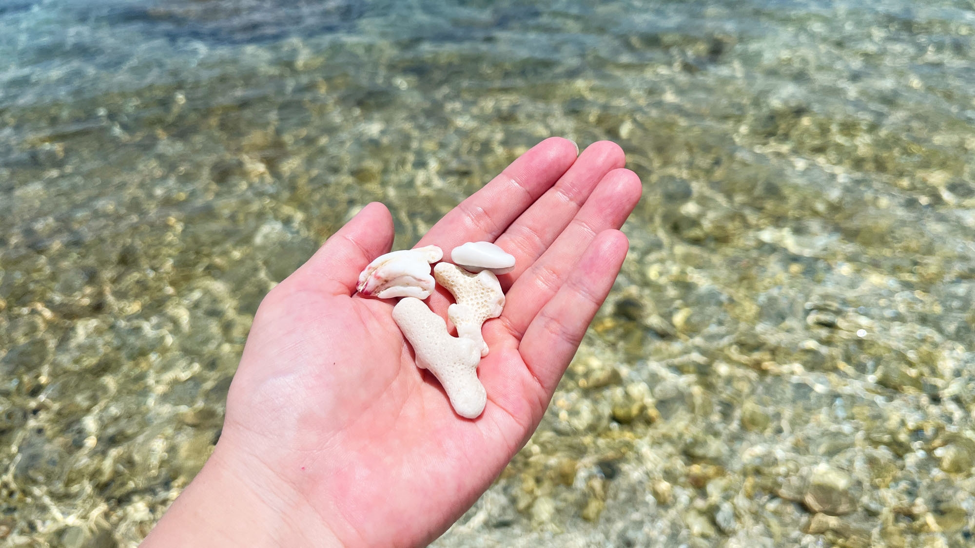 【秋冬SALE】【スタンダード素泊まり】座間味島の自然を満喫する滞在を応援♪