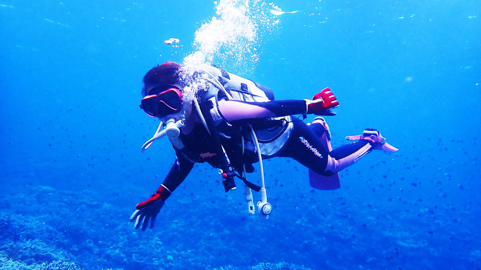 【ダイビング】