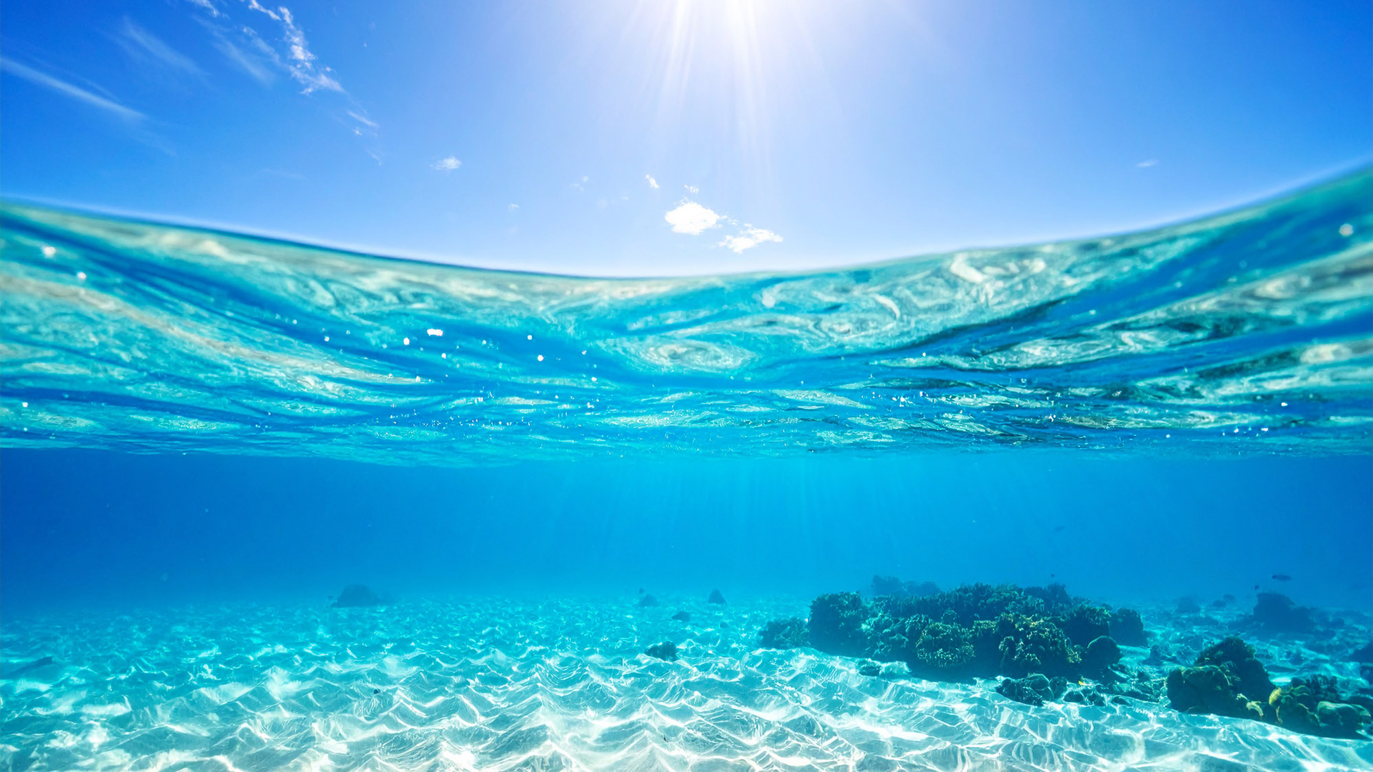 【海中の様子】