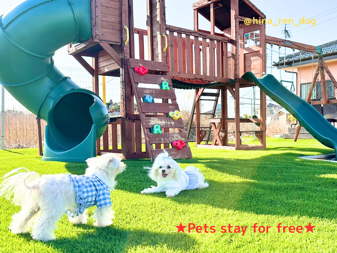 ペット宿泊無料