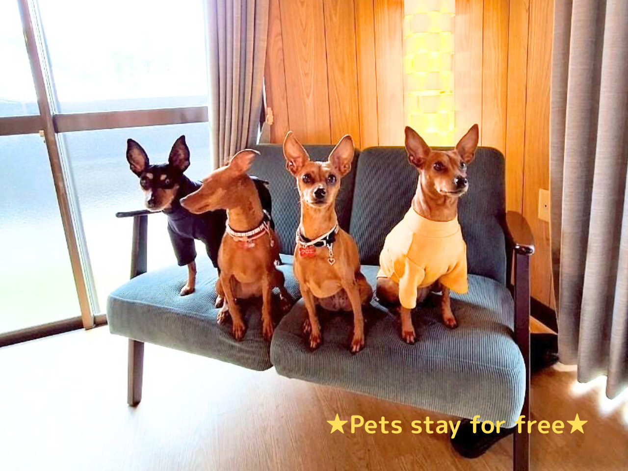 ペット宿泊無料