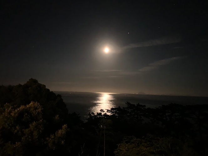 客室写真