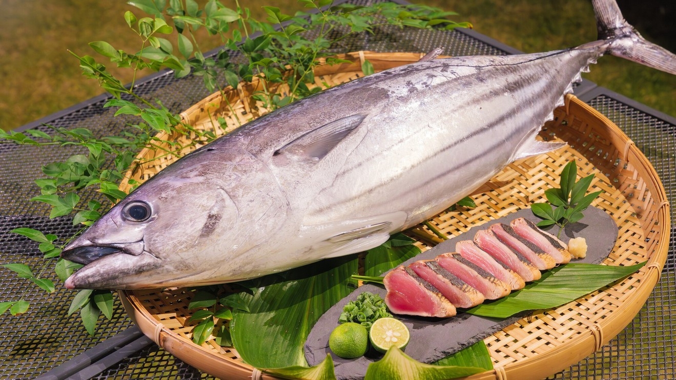 【冬割25％OFF×プレミアムコース】伊勢海老×カツオたたき作り×BBQ★朝食ピザ焼き体験＜2食付＞