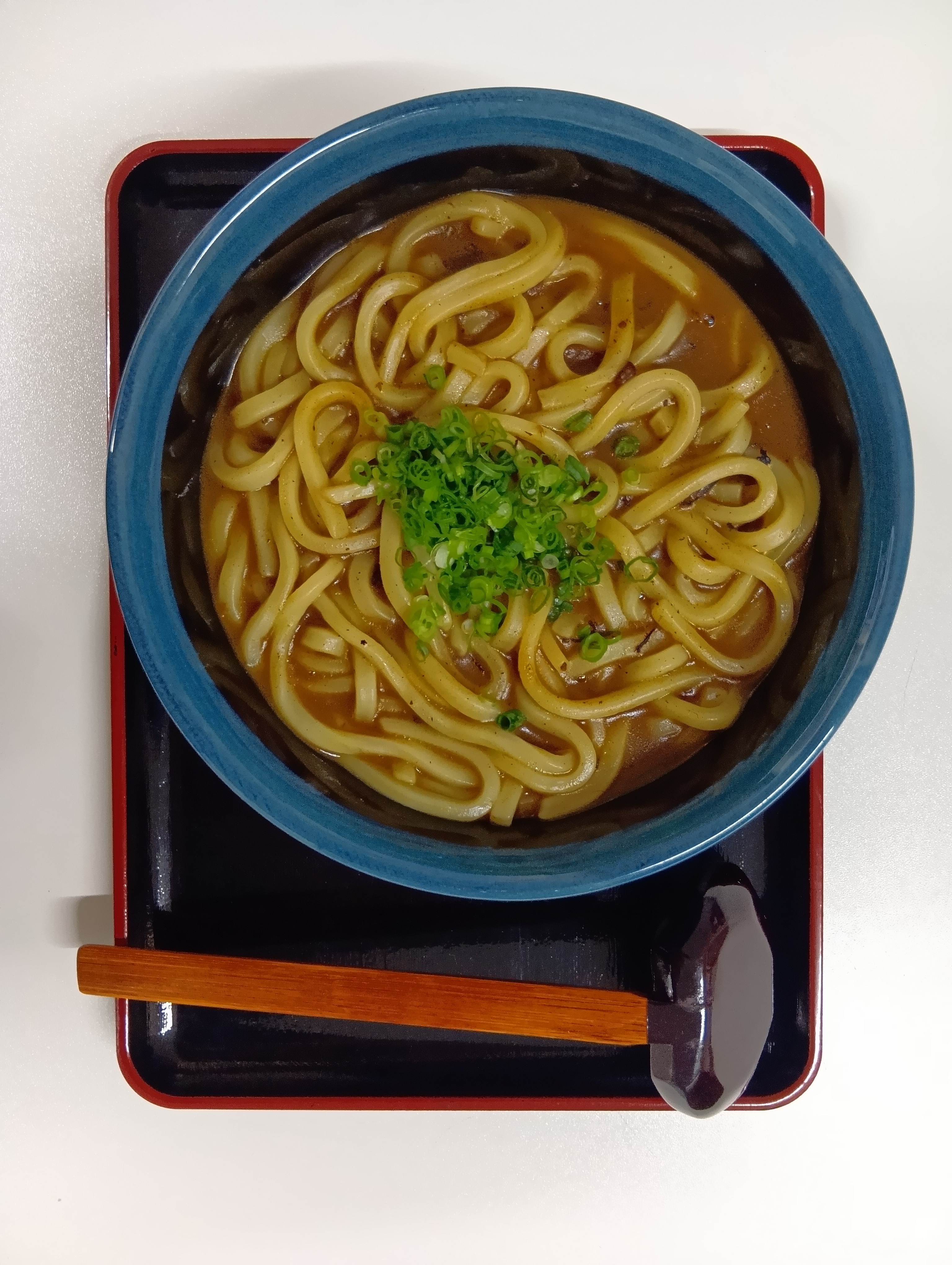 【夕食】上田カリーうどん