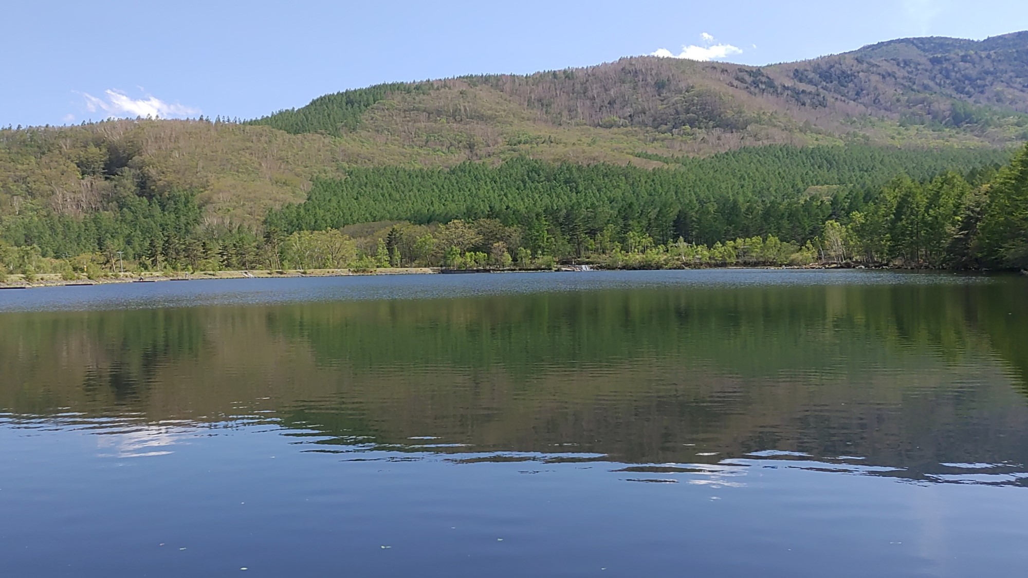 白樺に囲まれた八千穂レイク