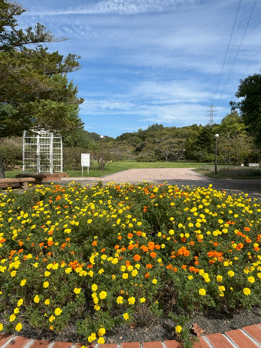 まったりほっこり自然満喫！大浴場あり！和室でくつろぐ素泊りプラン（県内の方・６５才以上の方割引あり）