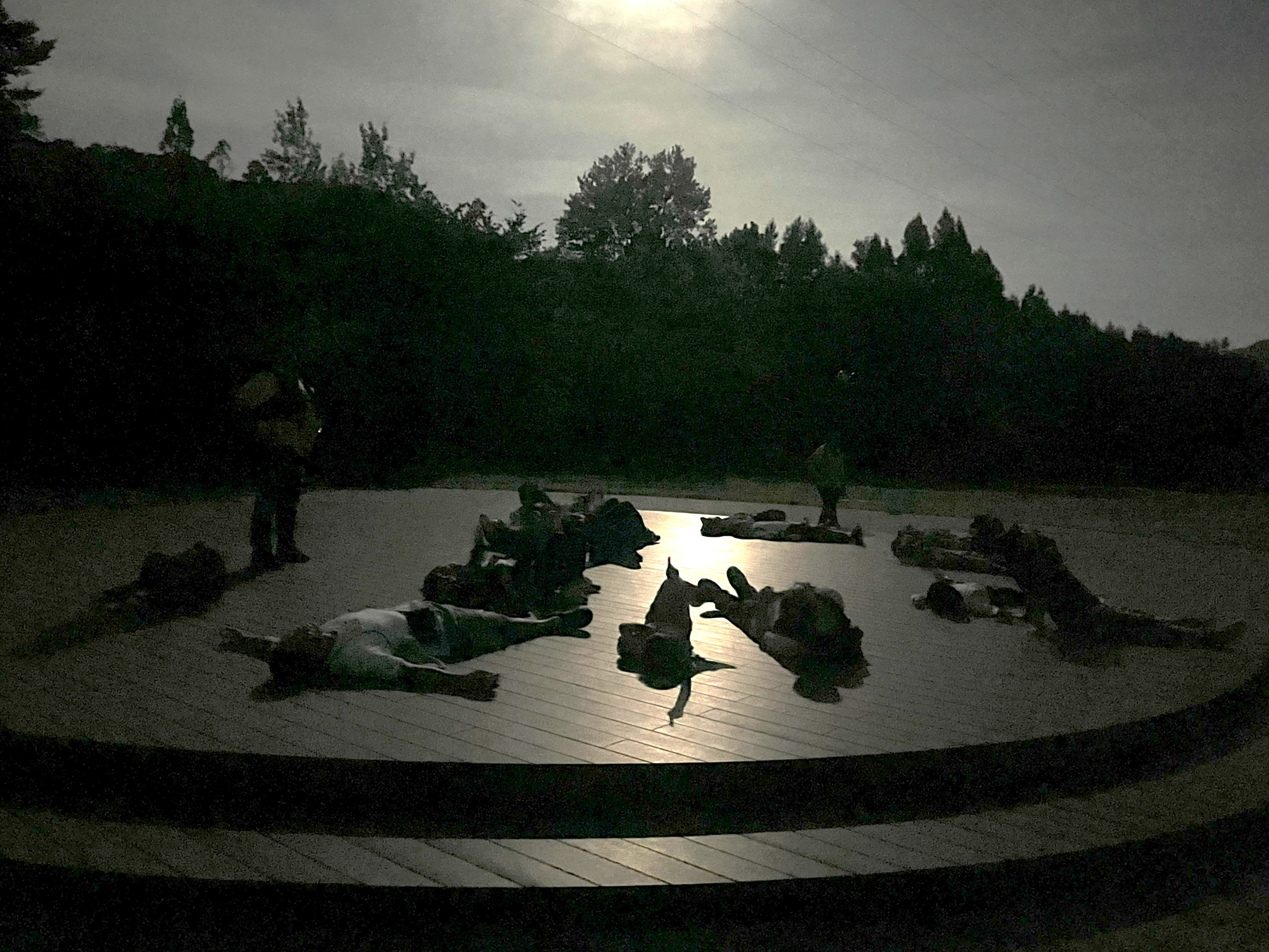 イベント　ナイトハイキング