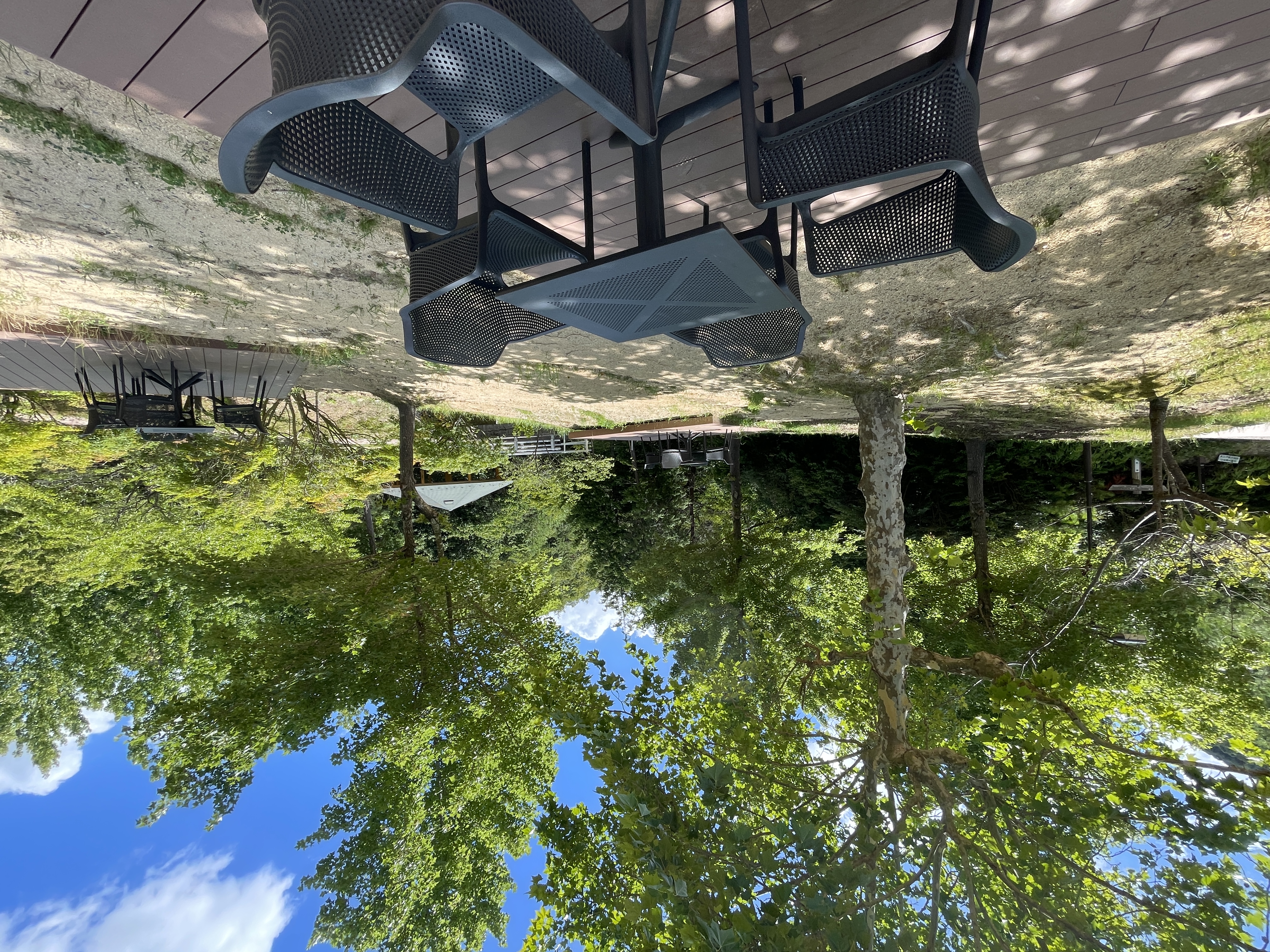公園内