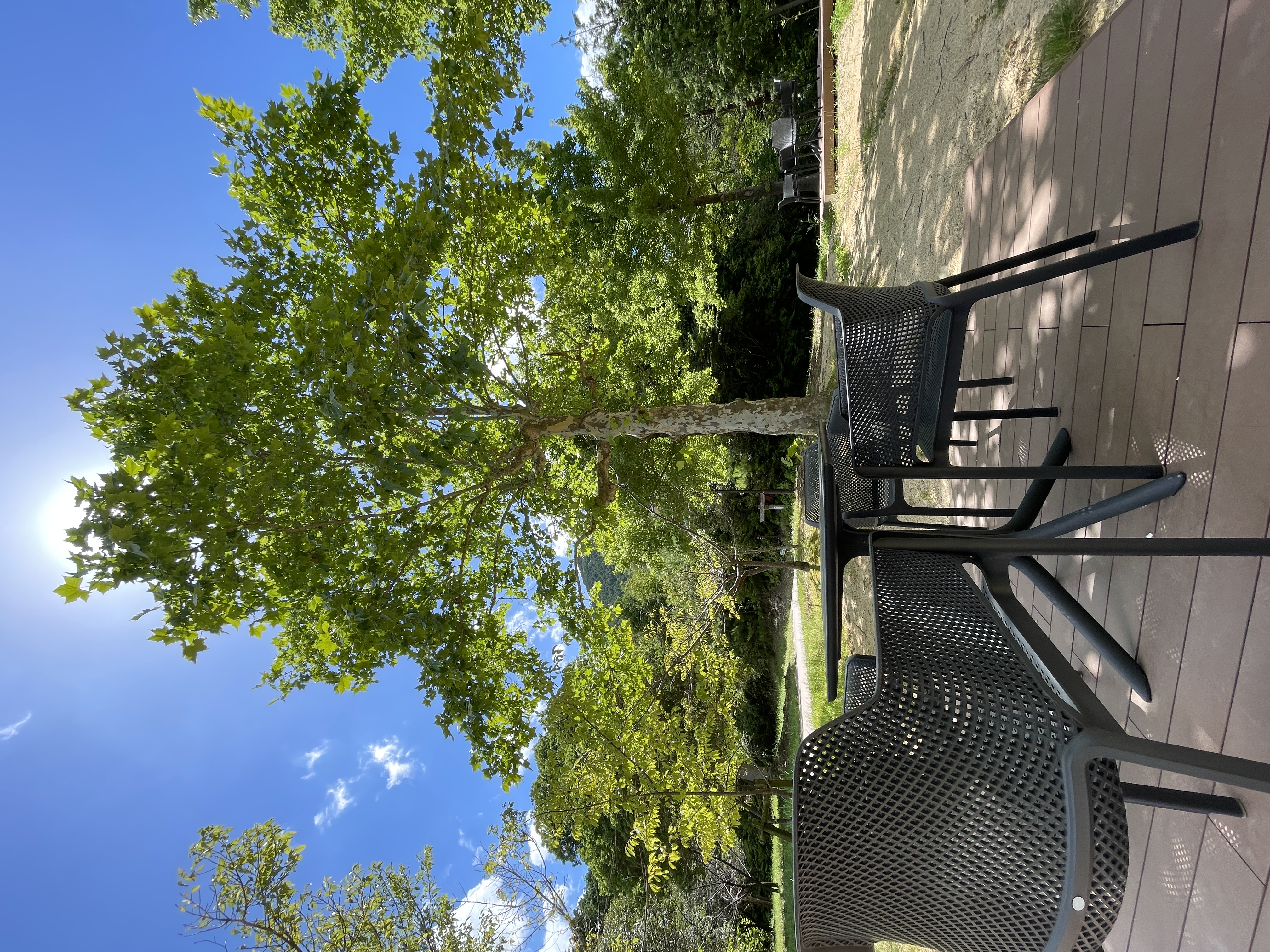 公園内