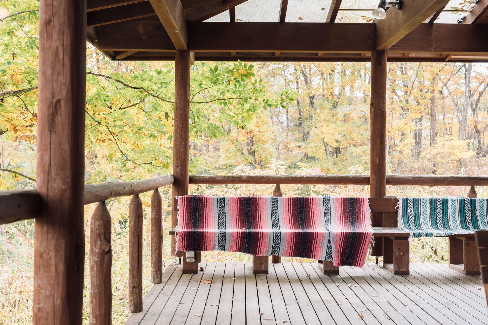 【コテージ直前割引】コテージケントで自然の中での滞在を（素泊まり）