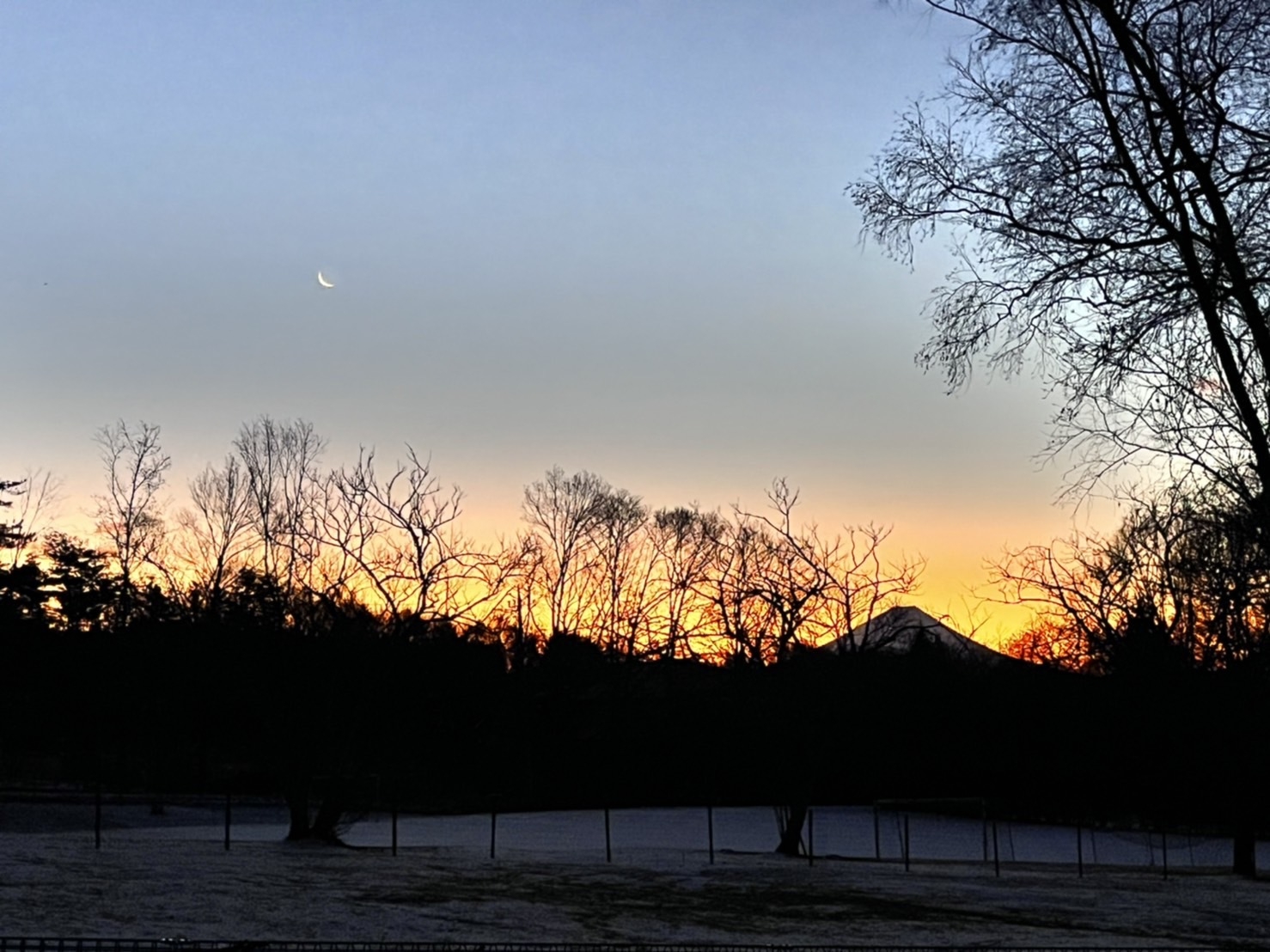 【桜セール/春旅応援プラン】素泊まり