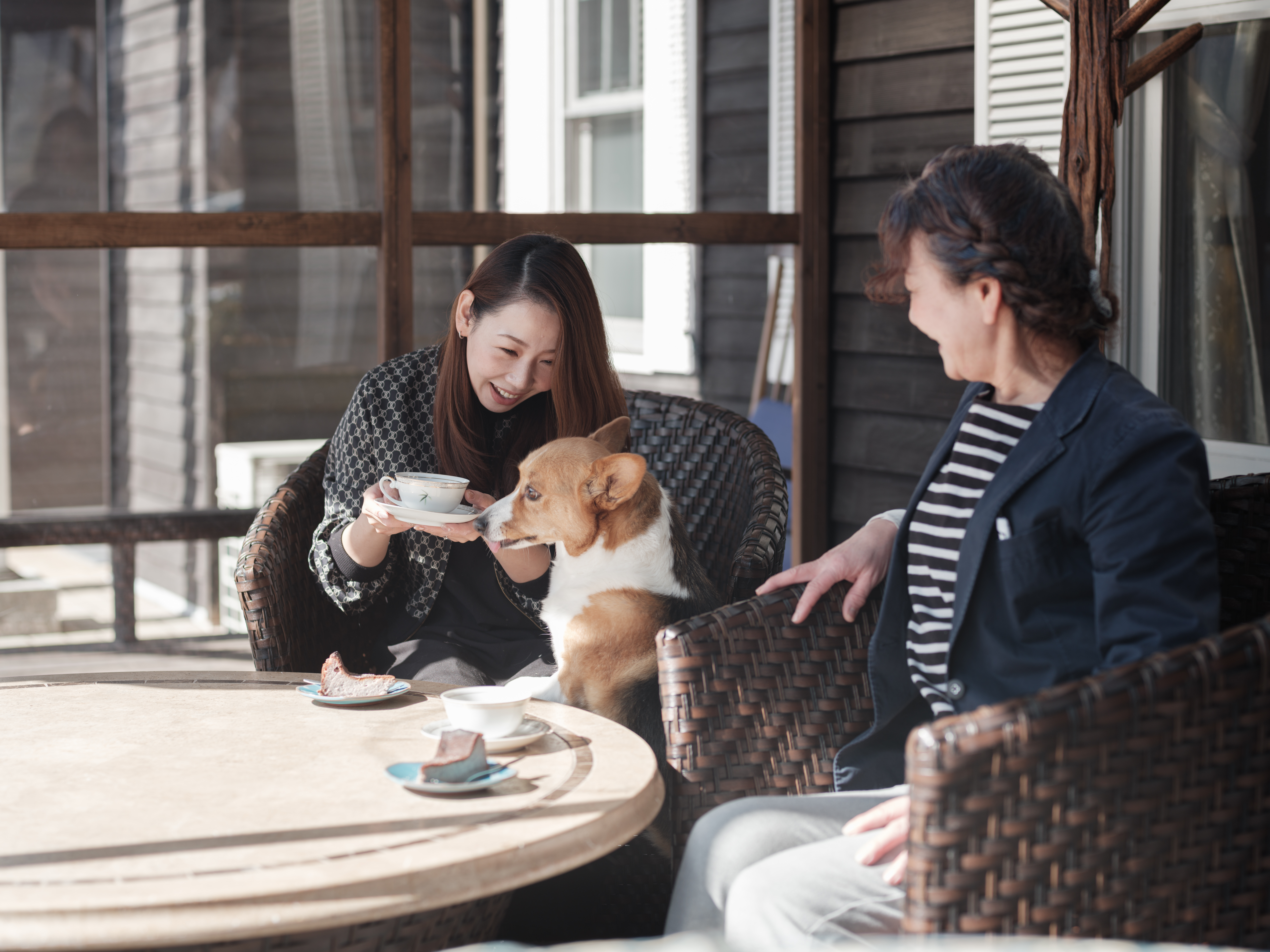 テラスカフェ利用　ペット