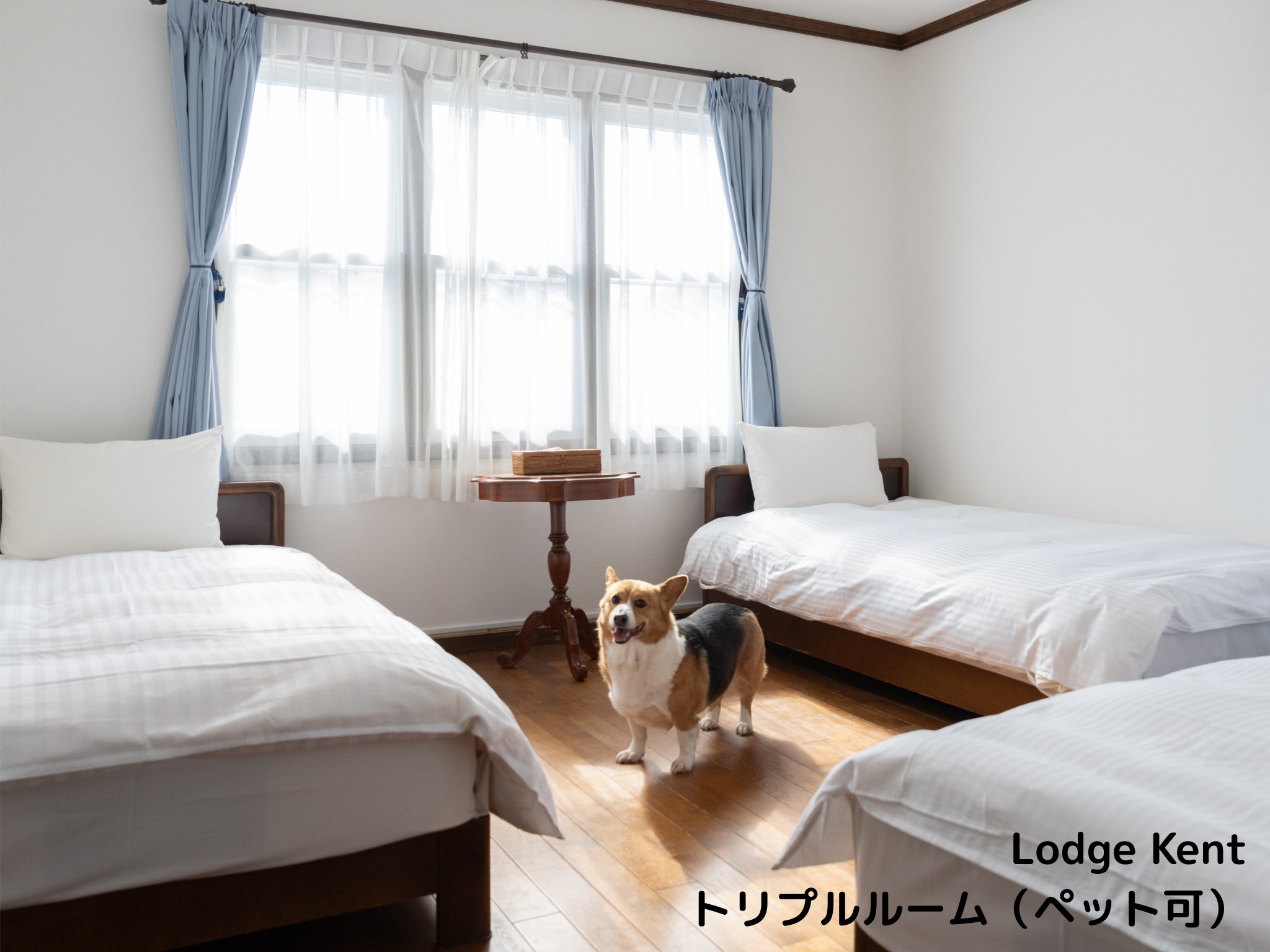 トリプルルーム　ペット可