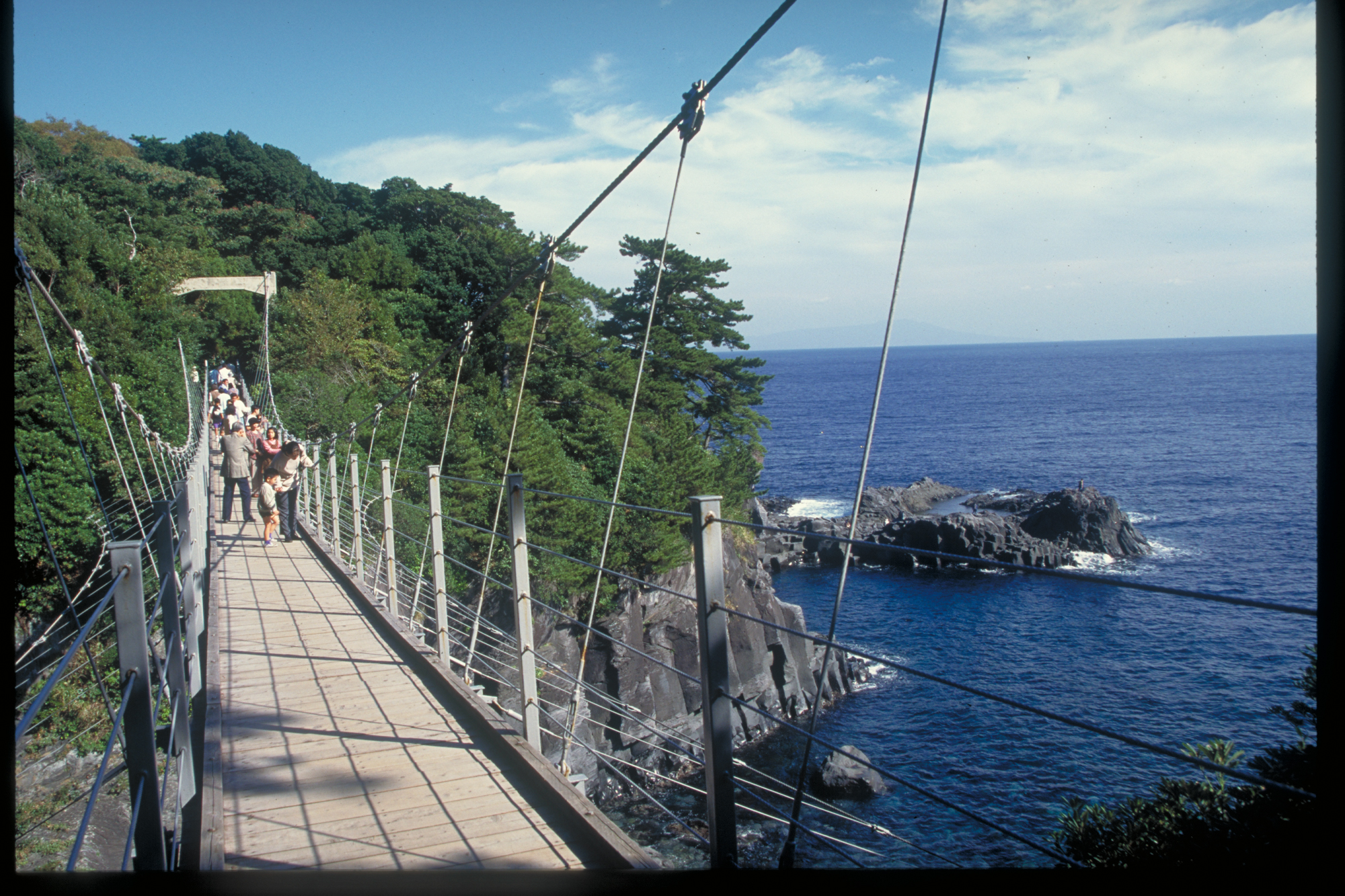 近隣の観光箇所｜伊豆城ヶ崎海岸　橋立つり橋