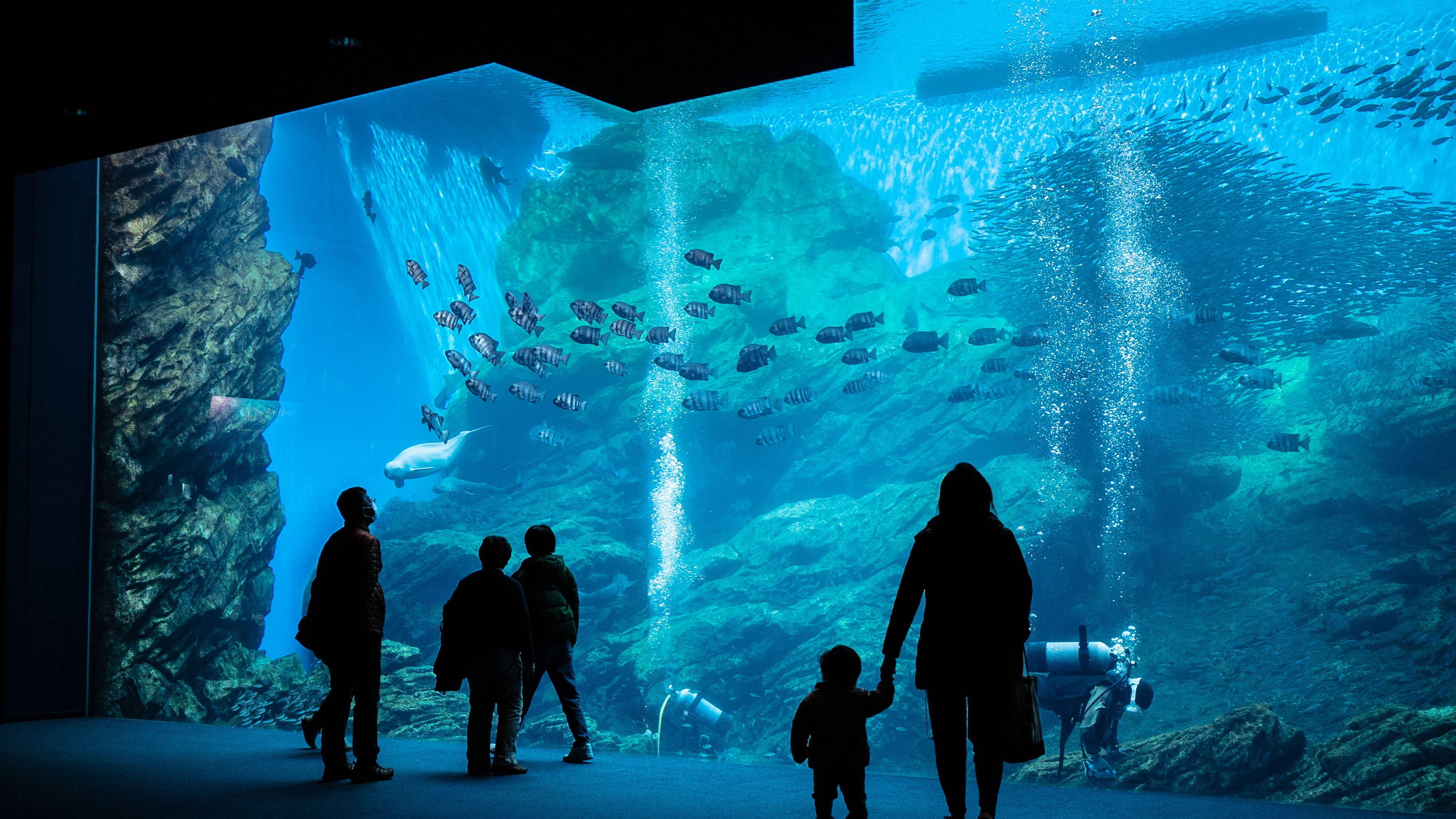 【仙台うみの杜水族館】