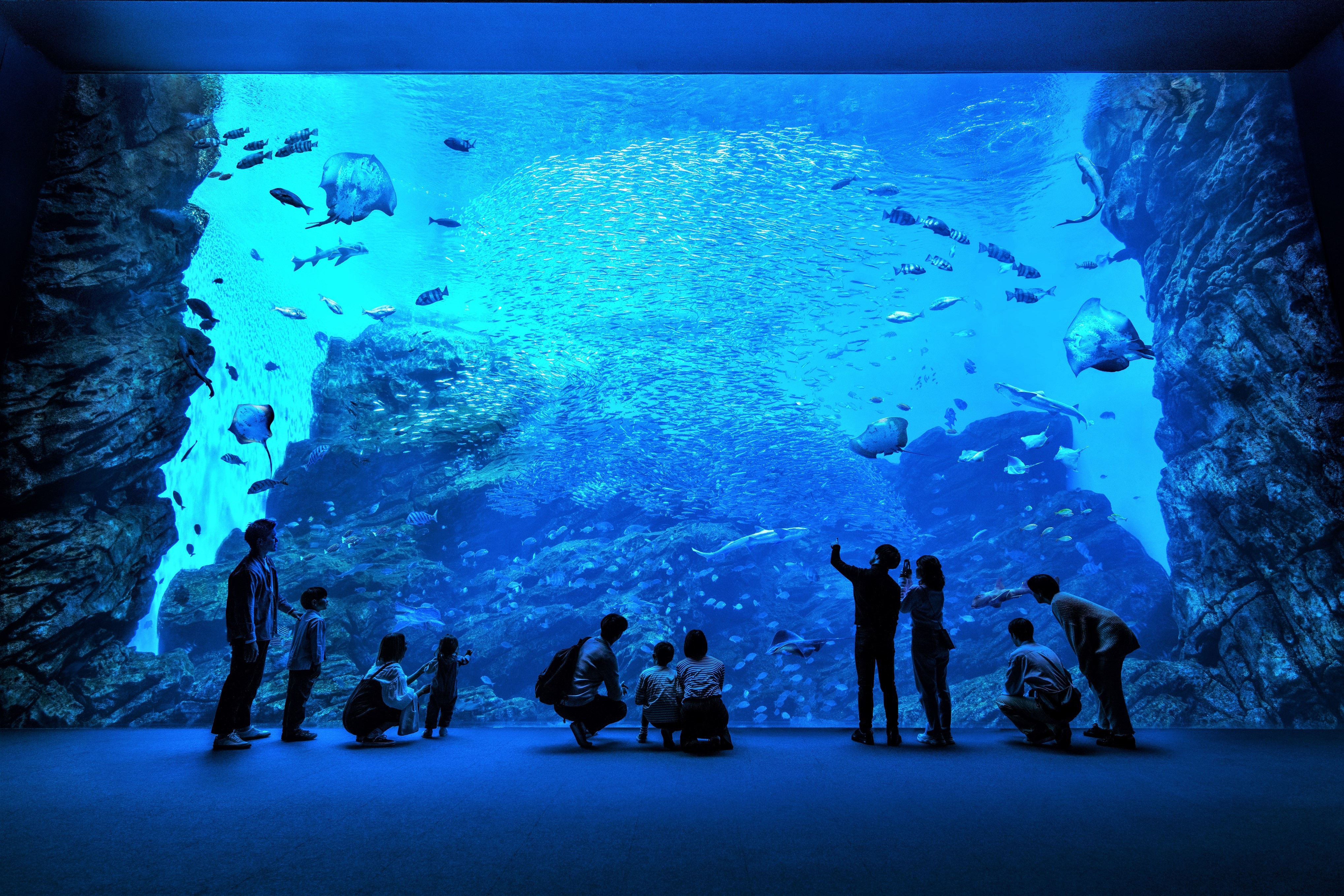 うみの杜水族館の大水槽♪