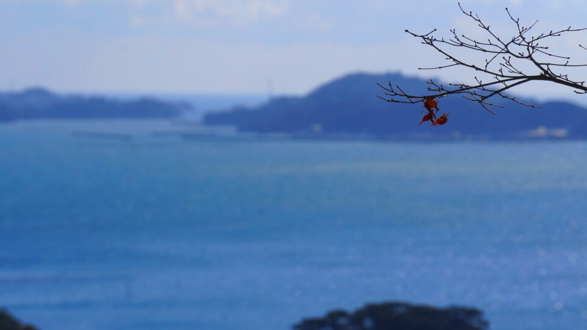 【松島】