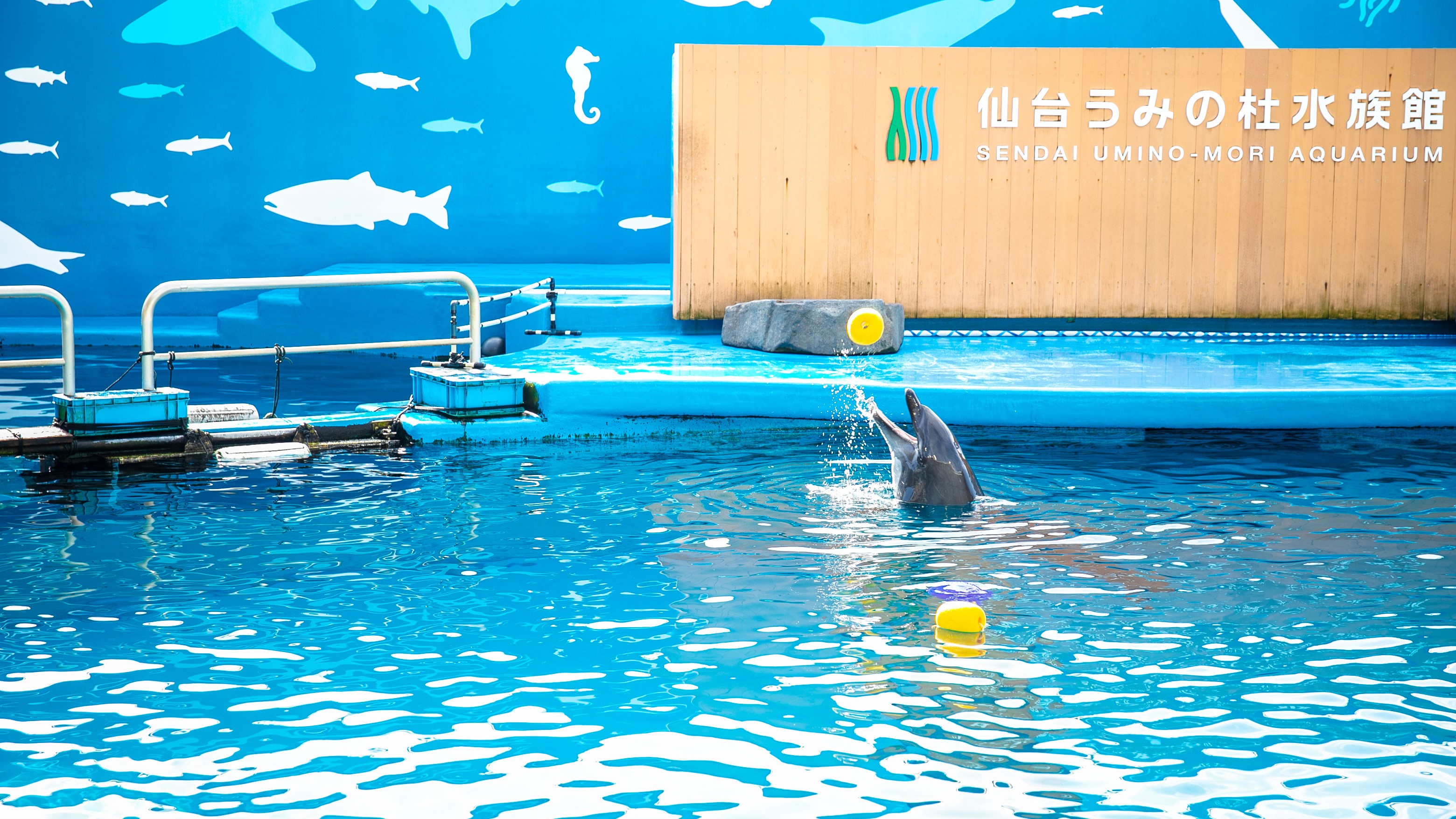 【仙台うみの杜水族館】