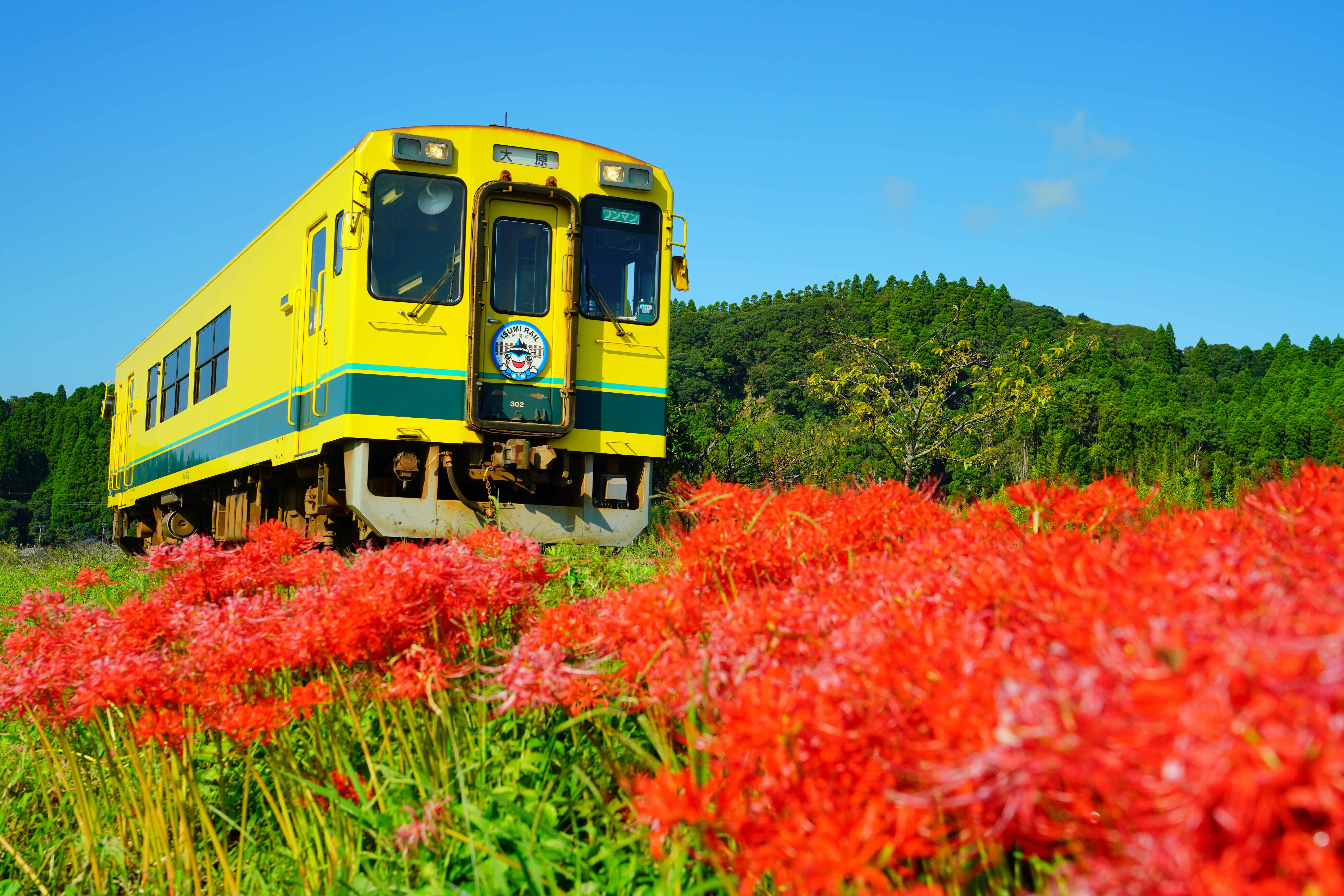 いすみ鉄道沿線沿いの観光スポットがオススメです！