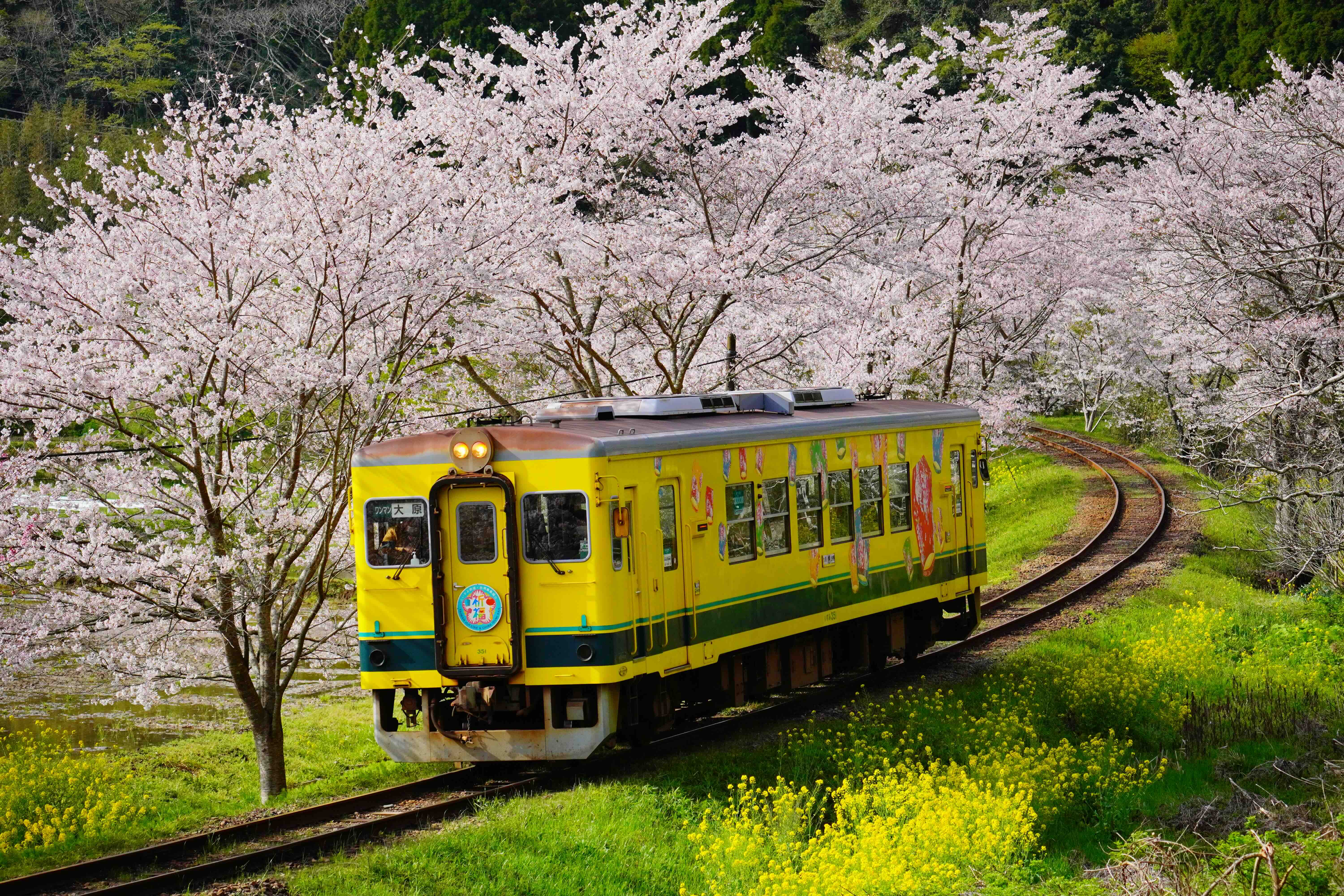 いすみ鉄道沿線沿いの観光スポットがオススメです！