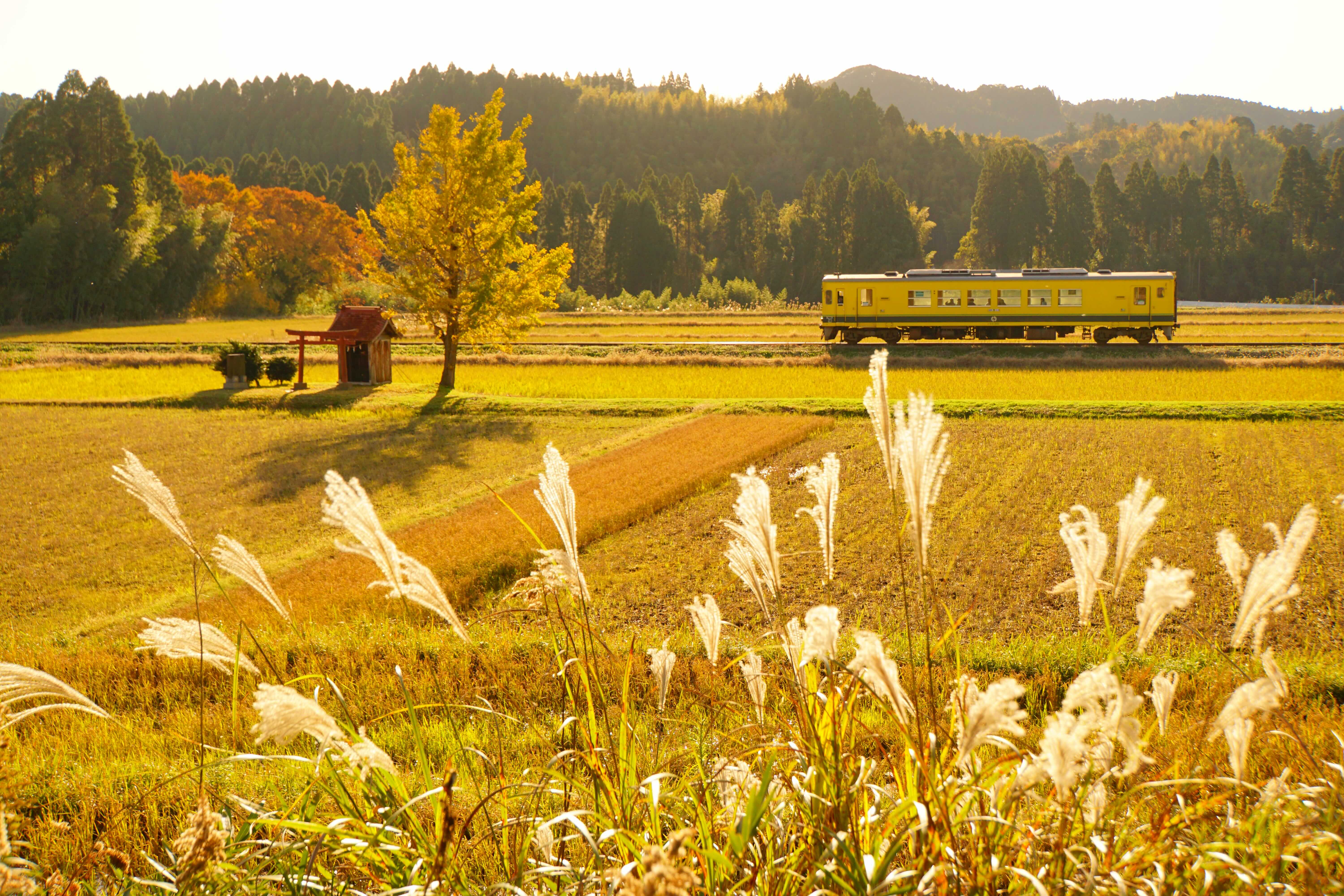 いすみ鉄道の城見ヶ丘駅が最寄駅です！