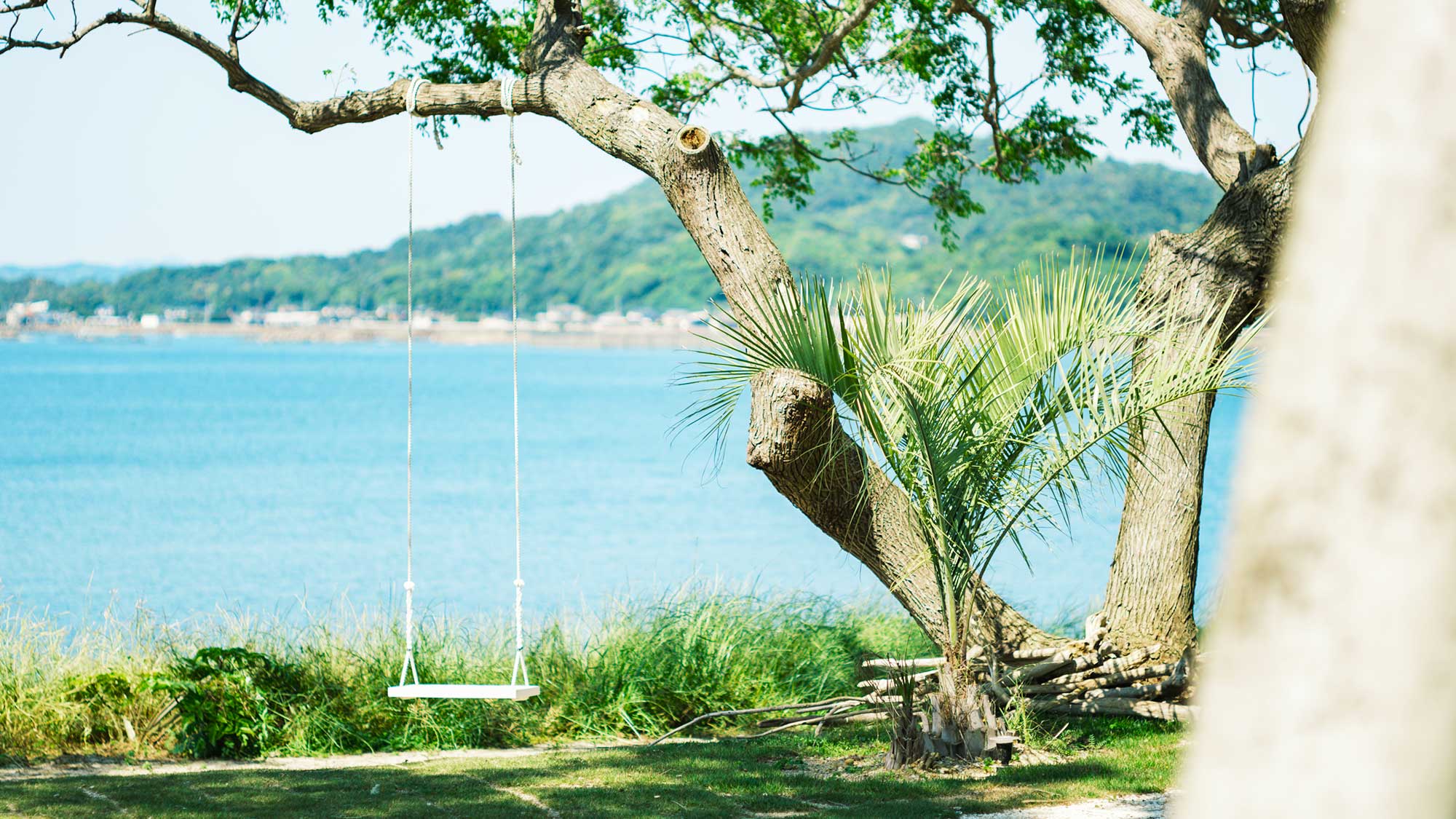 【敷地】海を眺めながら楽しめるブランコを設置しています。