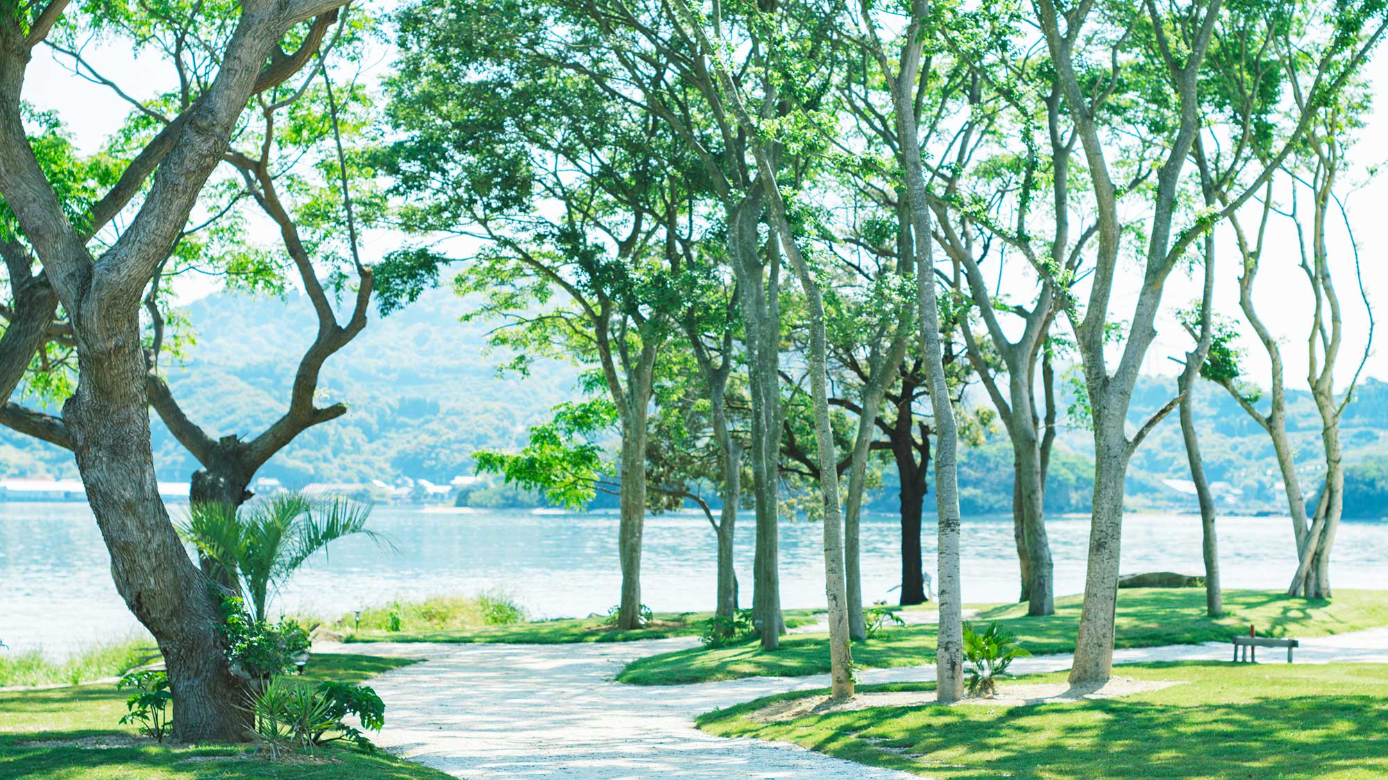 【敷地】浜辺を歩くだけで心が満たされる非日常のひととき。敷地内のお散歩も楽しめます。