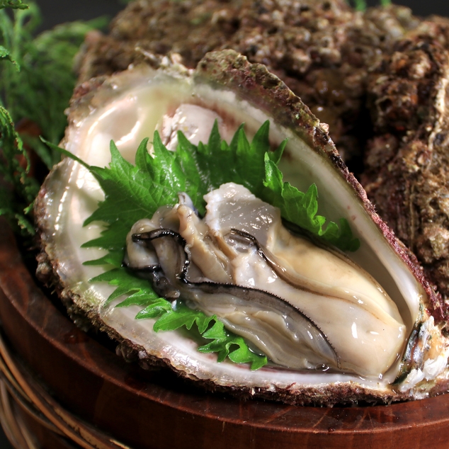 【岩牡蠣フルコース！！個室食】旨味たっぷり岩ガキをいろんな食べ方でお楽しみいただけます☆