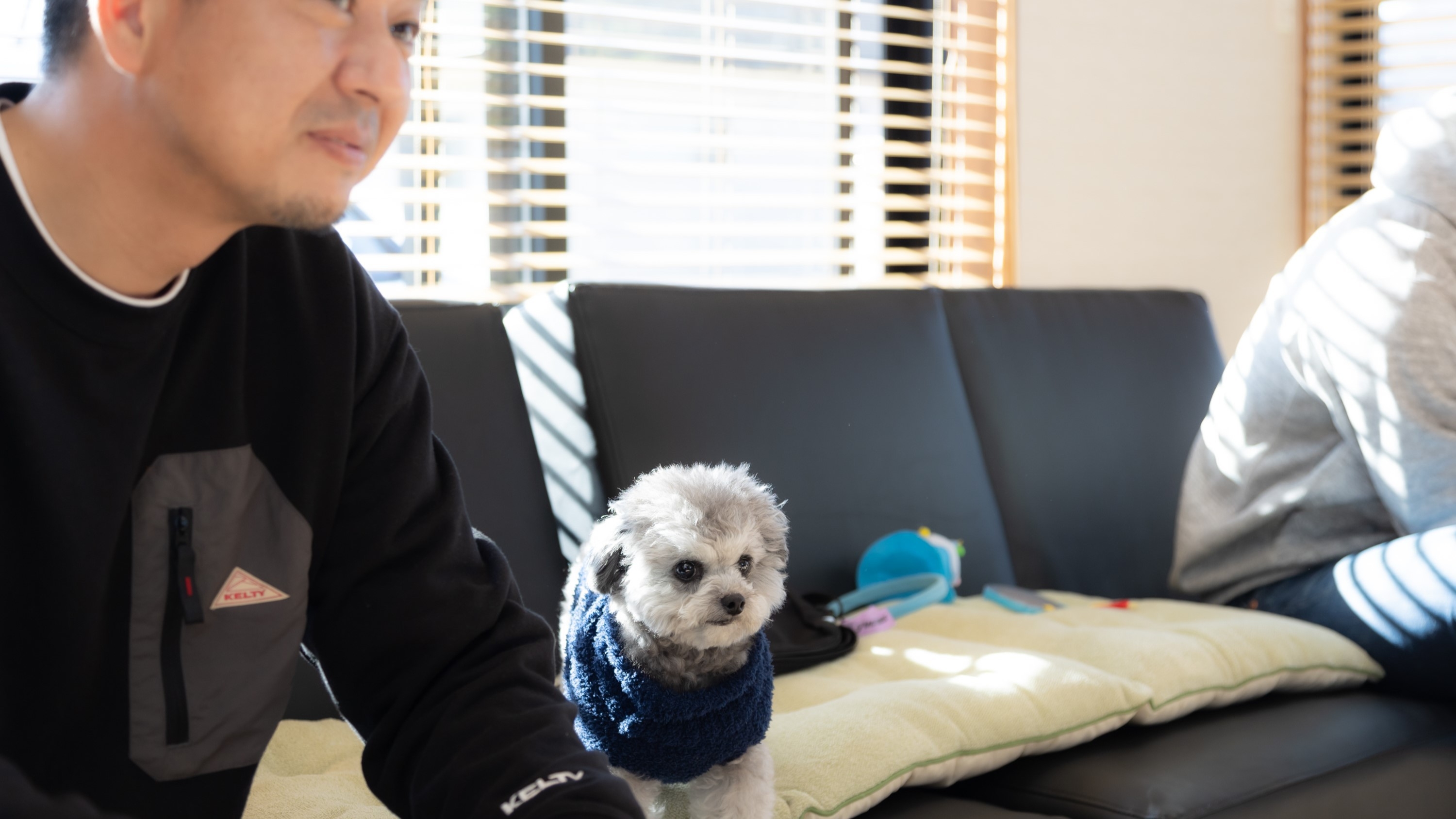 【ドッグマッサージ付きプラン】愛犬に癒しをお届け♪1日1組限定・1棟貸切宿でワンちゃんもハッピーに！