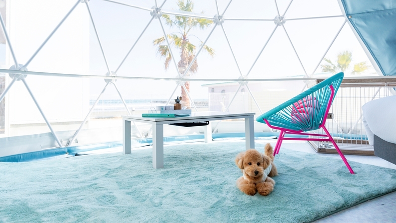 ペット同伴 ドームテント(ダブルベッド2台)