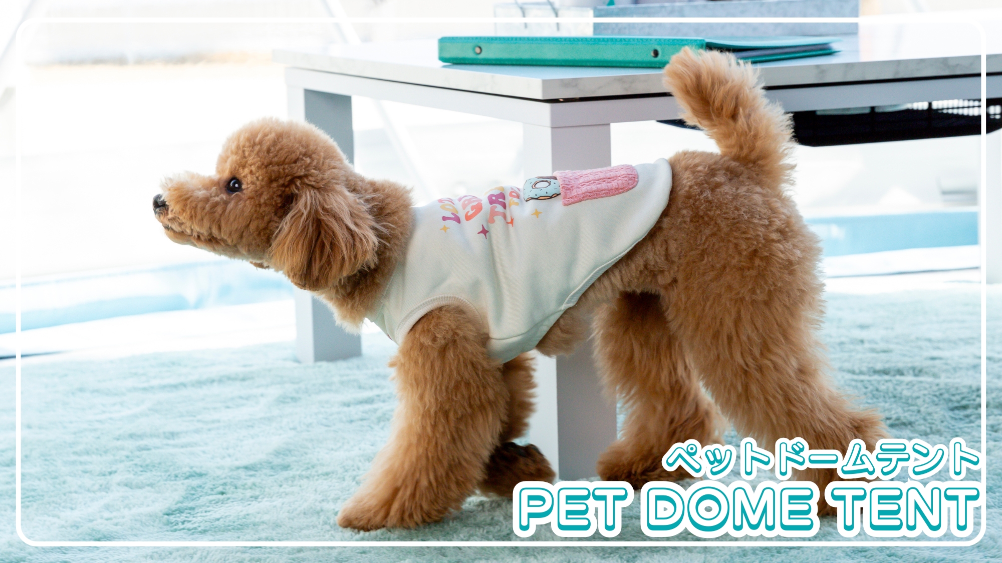 【ペット可】ドームテント